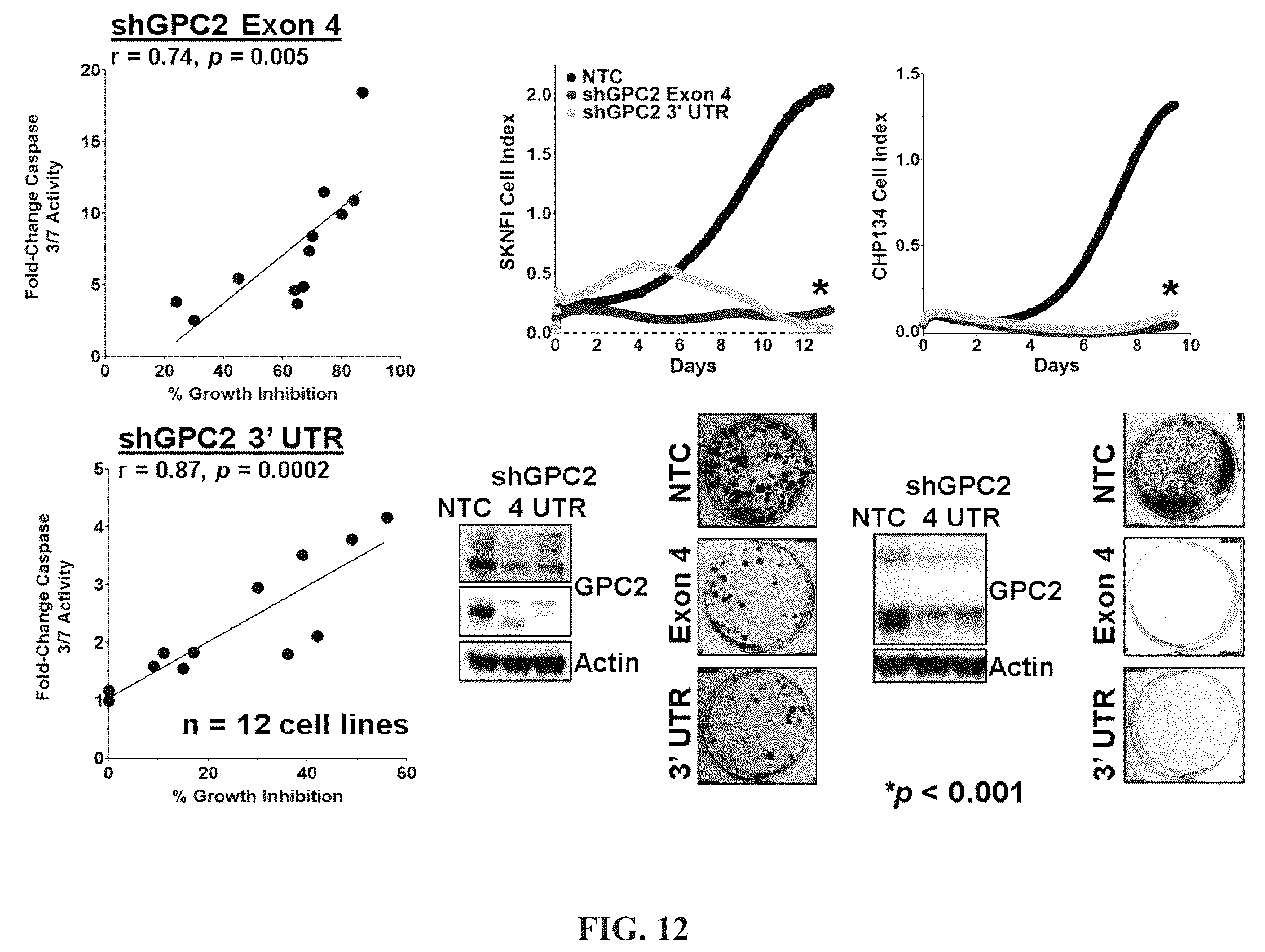 Patent US11814440 Figure 18 – Glypican 2 as a cancer marker and therapeutic target