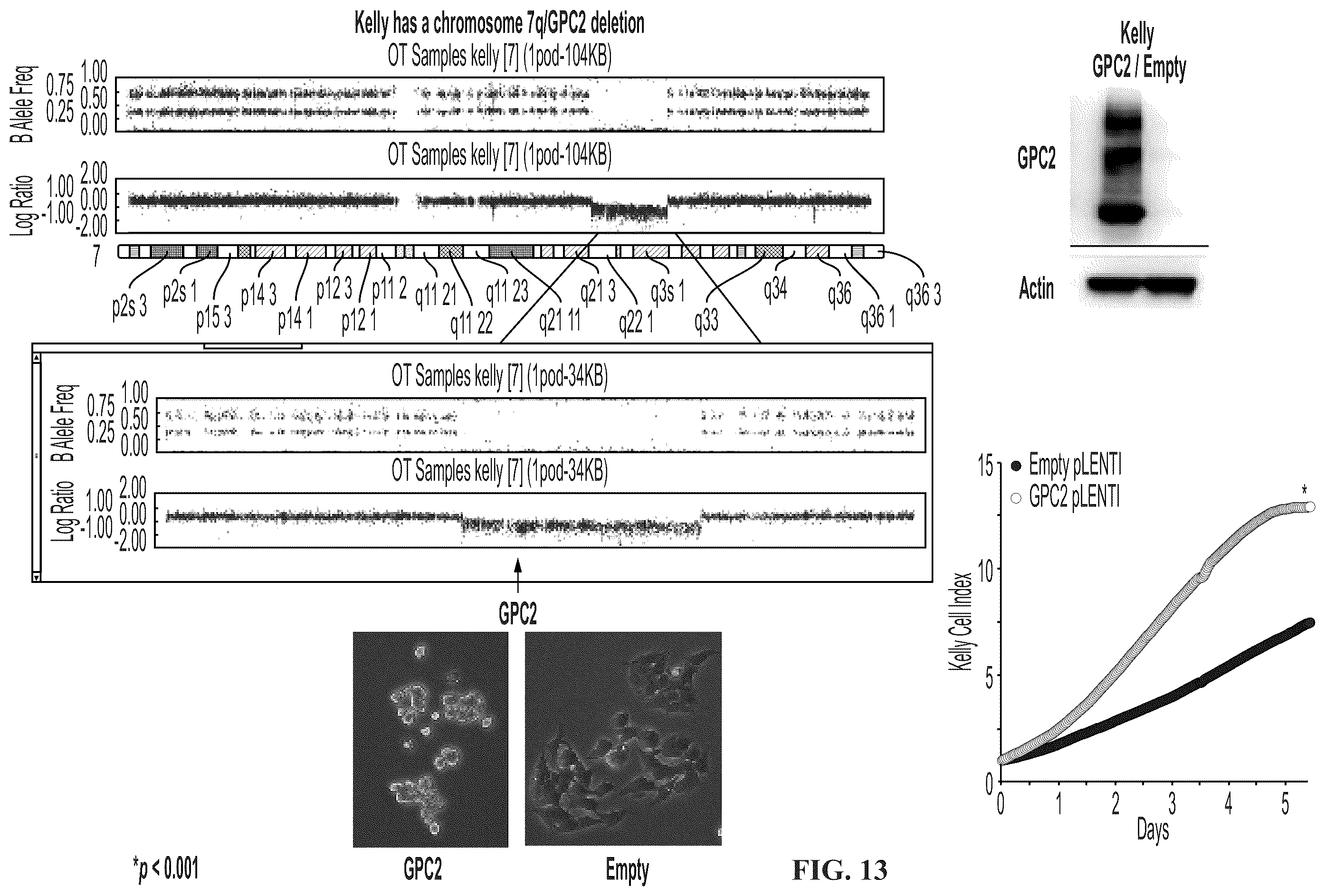 Patent US11814440 Figure 19 – Glypican 2 as a cancer marker and therapeutic target