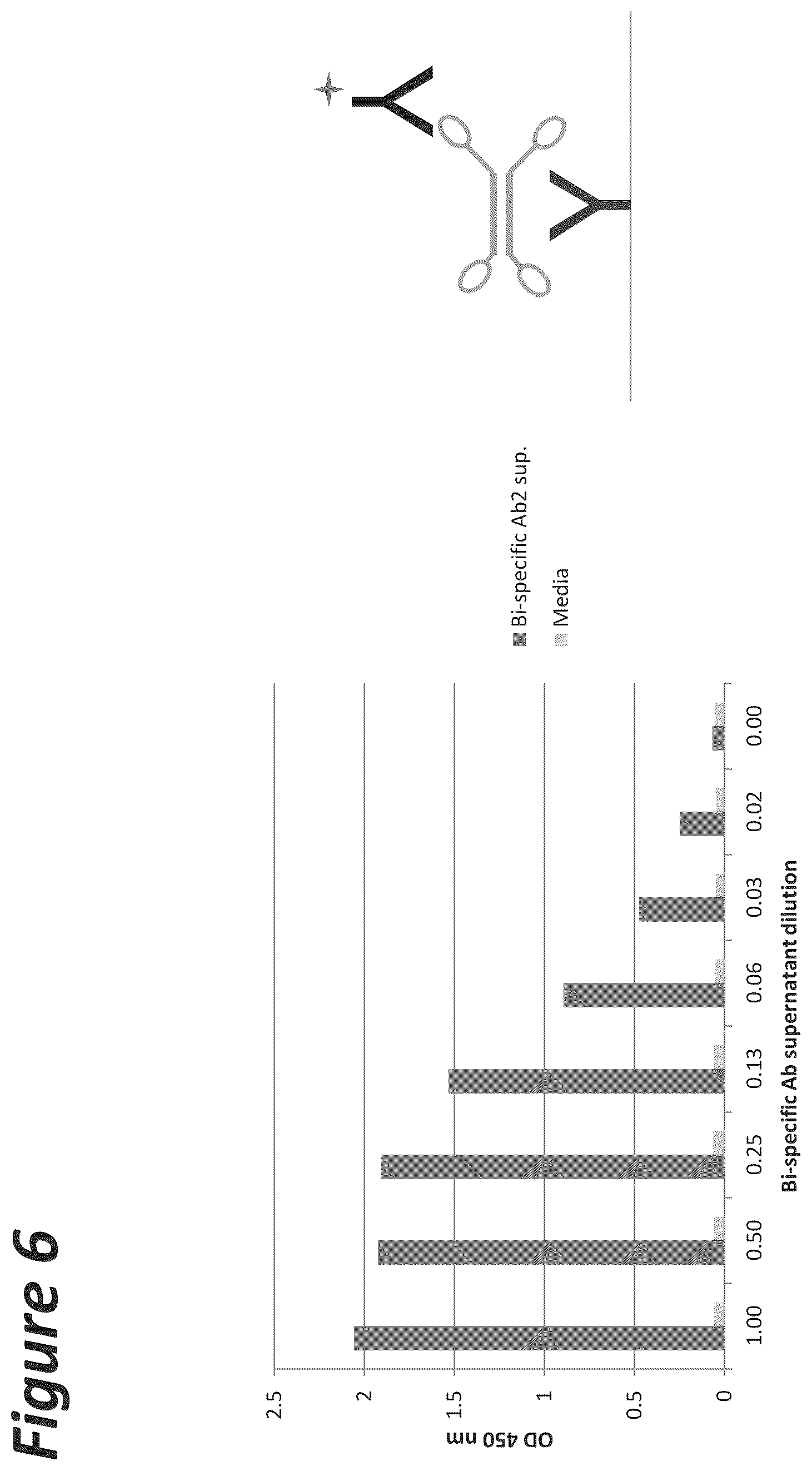 Patent US11814441 Figure 6 – Bi-specific antigen-binding polypeptides