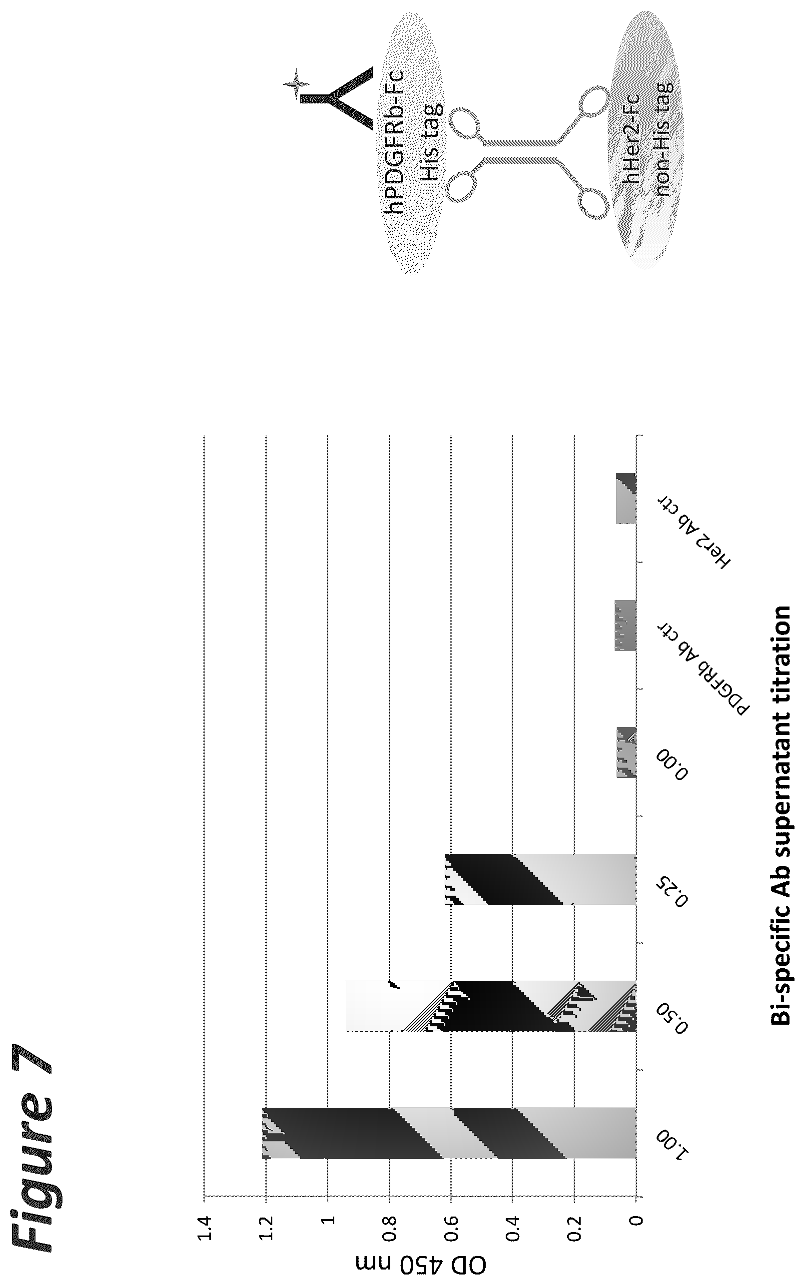 Patent US11814441 Figure 7 – Bi-specific antigen-binding polypeptides