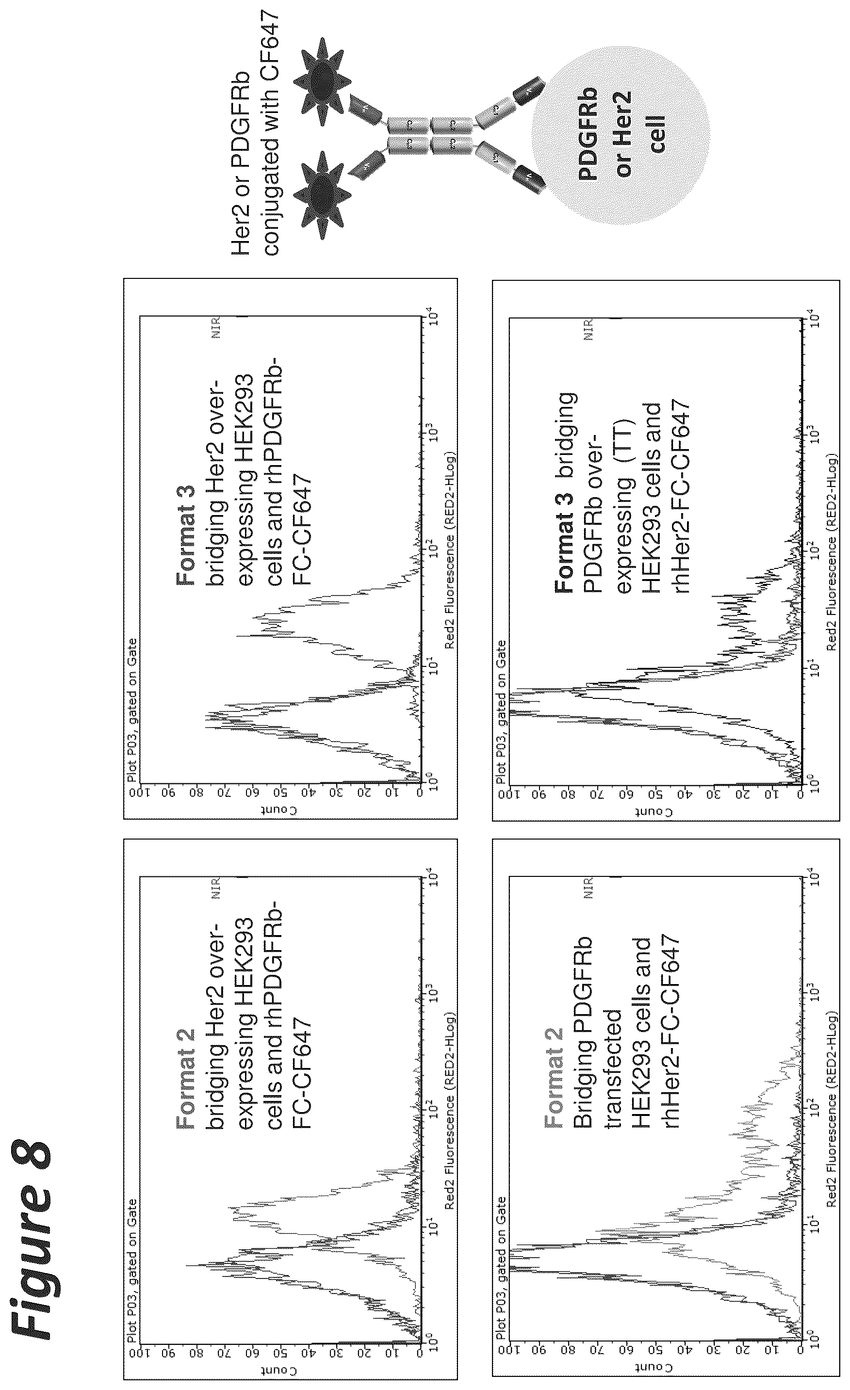 Patent US11814441 Figure 8 – Bi-specific antigen-binding polypeptides