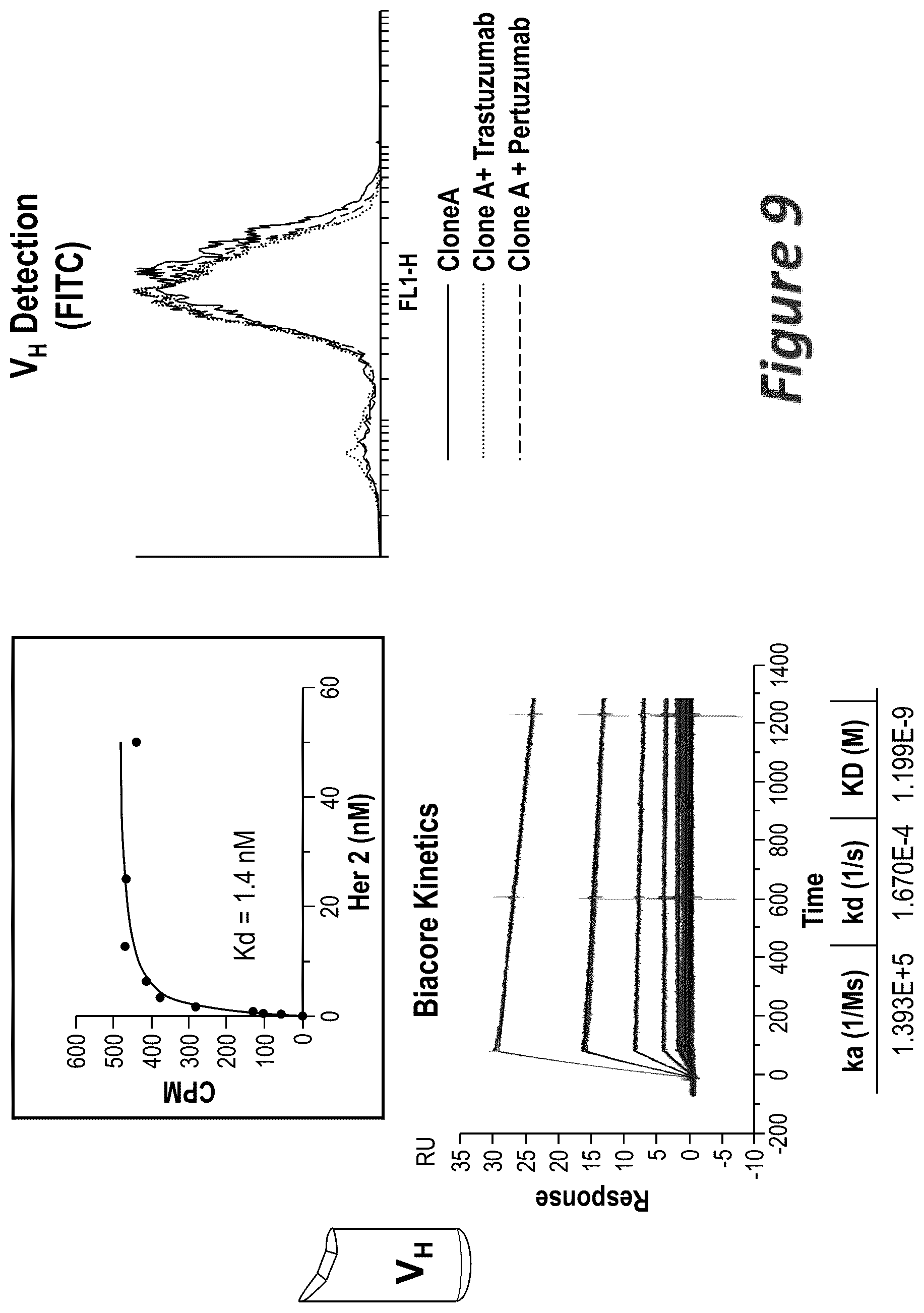 Patent US11814441 Figure 9 – Bi-specific antigen-binding polypeptides