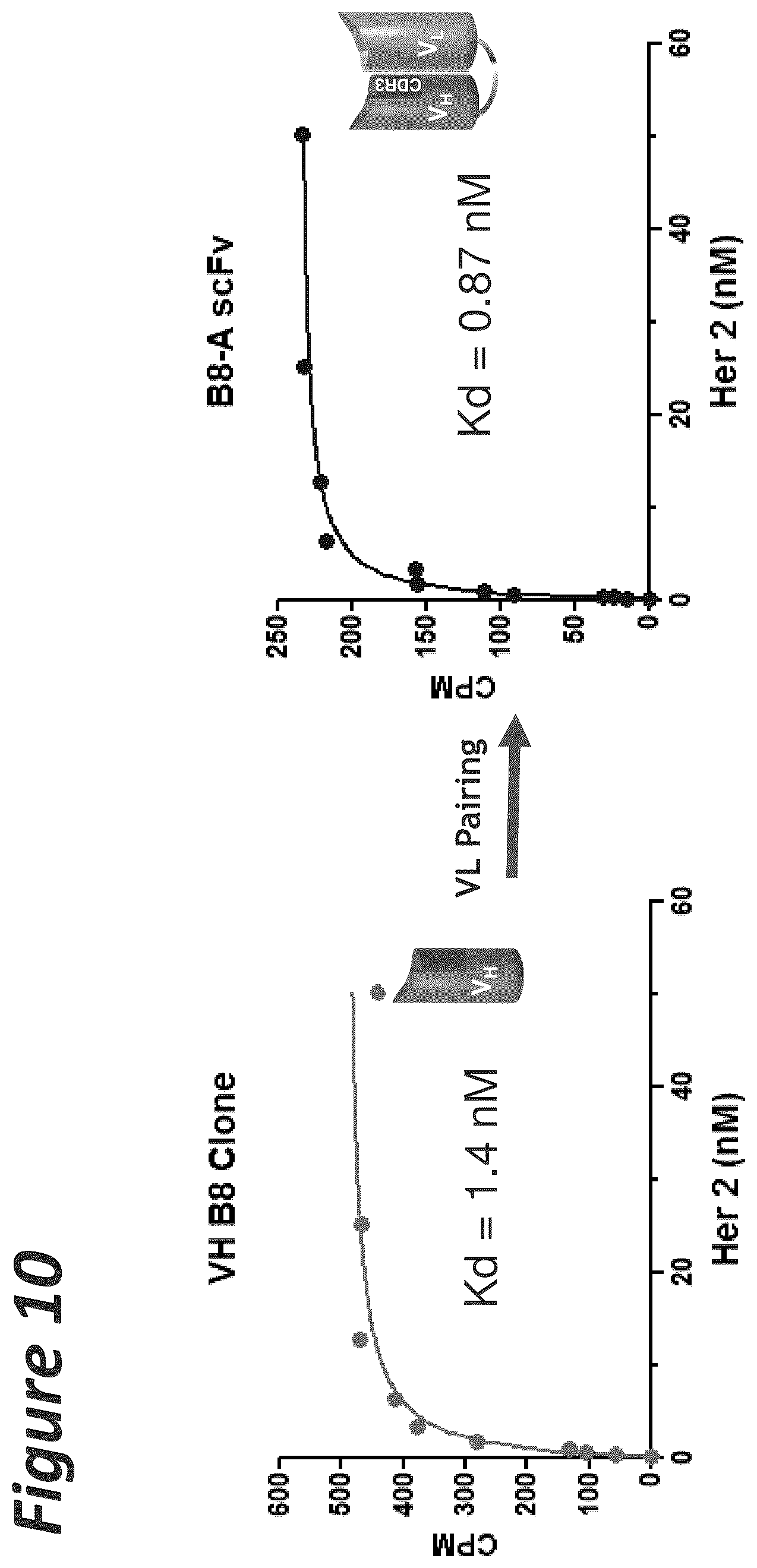 Patent US11814441 Figure 10 – Bi-specific antigen-binding polypeptides