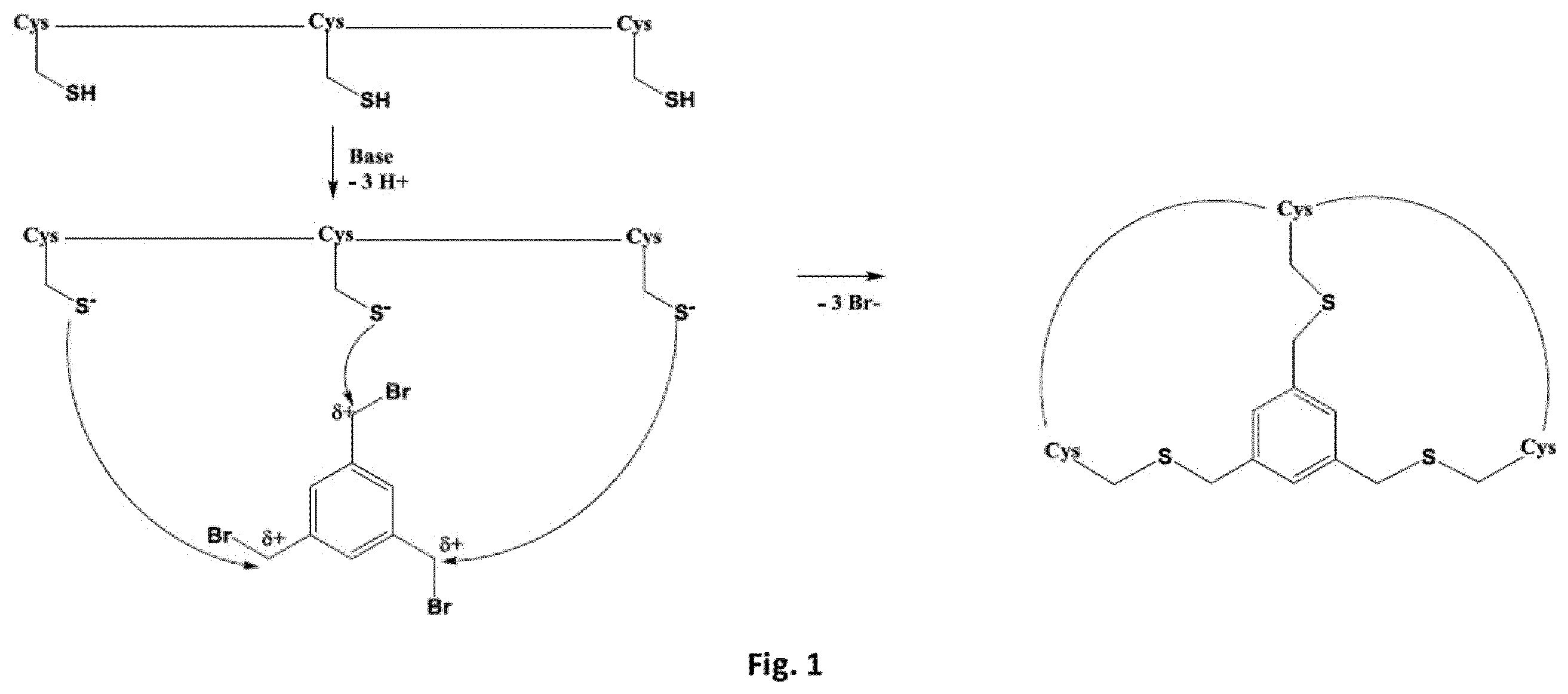 Patent US11814447 Figure 1 – Peptide ligands for binding to EphA2