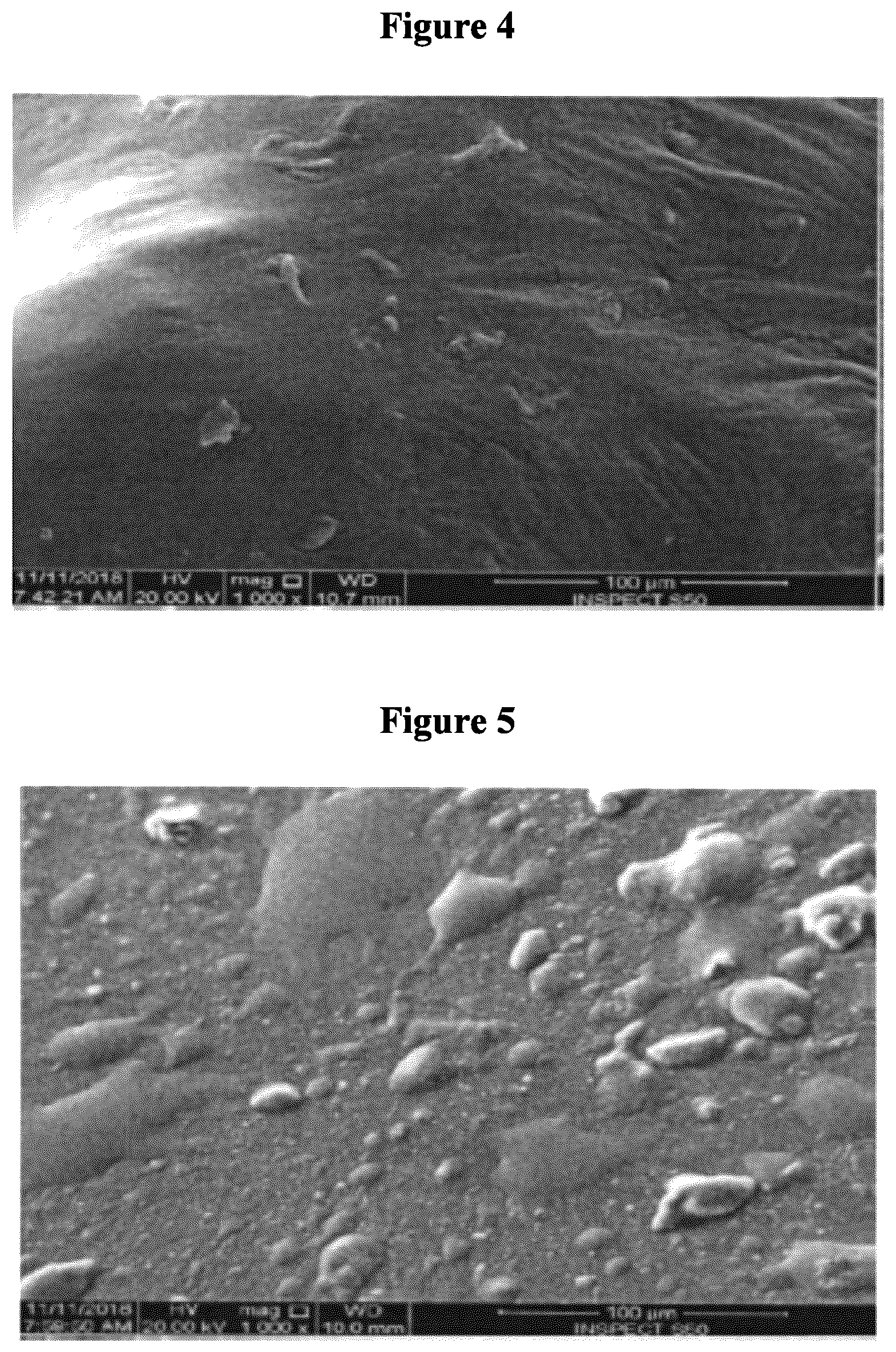 Patent US11814459 Figure 4 – Aqueous solution method for forming a hydrogel composition