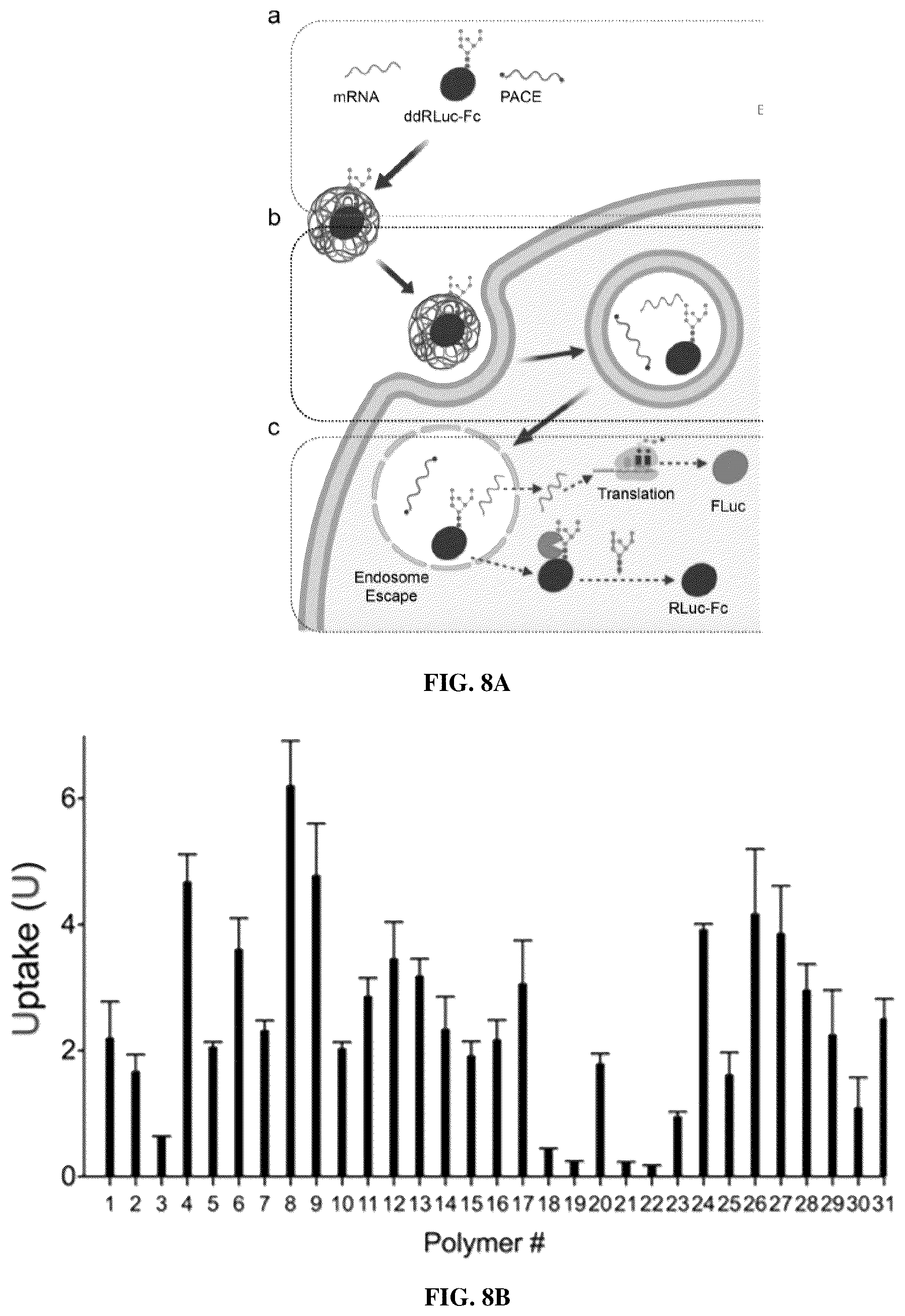 Patent US11814464 Figure 11 – Poly(amine-co-ester) polymers and polyplexes with modified end groups and methods of use thereof