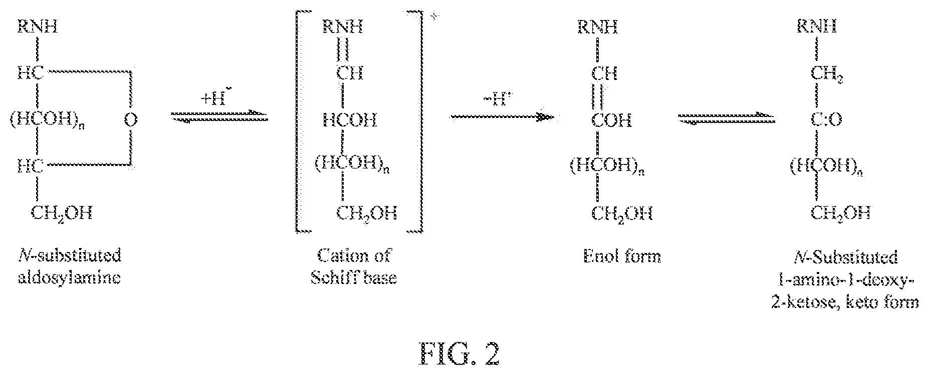 Patent US11814481 Figure 2 – Carbohydrate polyamine binders and materials made therewith