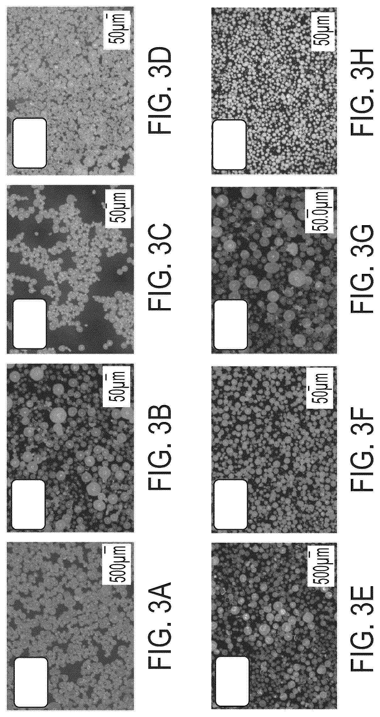 Patent US11814494 Figure 3 – Thermoplastic polyester particles and methods of production and uses thereof