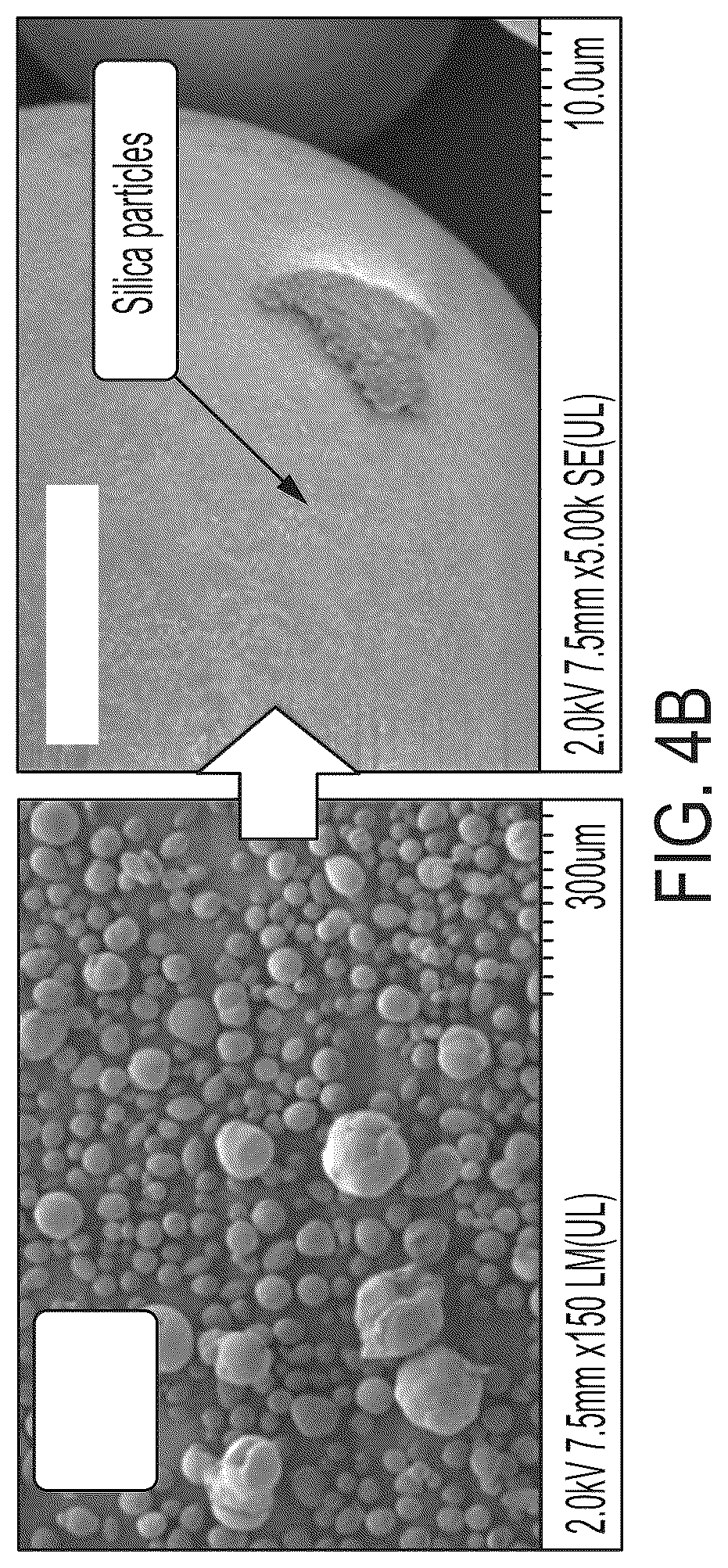 Patent US11814494 Figure 5 – Thermoplastic polyester particles and methods of production and uses thereof