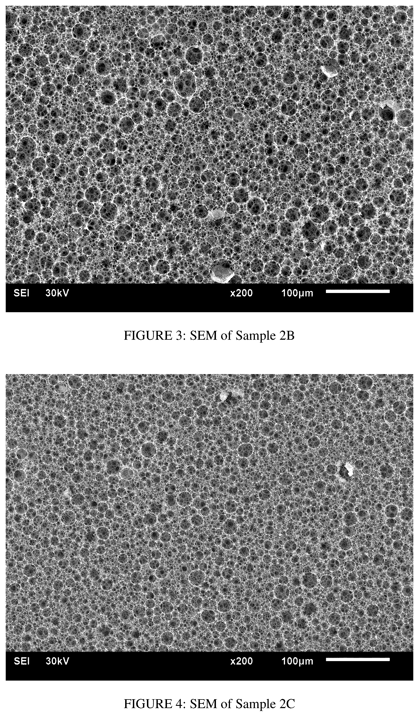 Patent US11814496 Figure 2 – High internal phase emulsion foam having cellulose nanoparticles