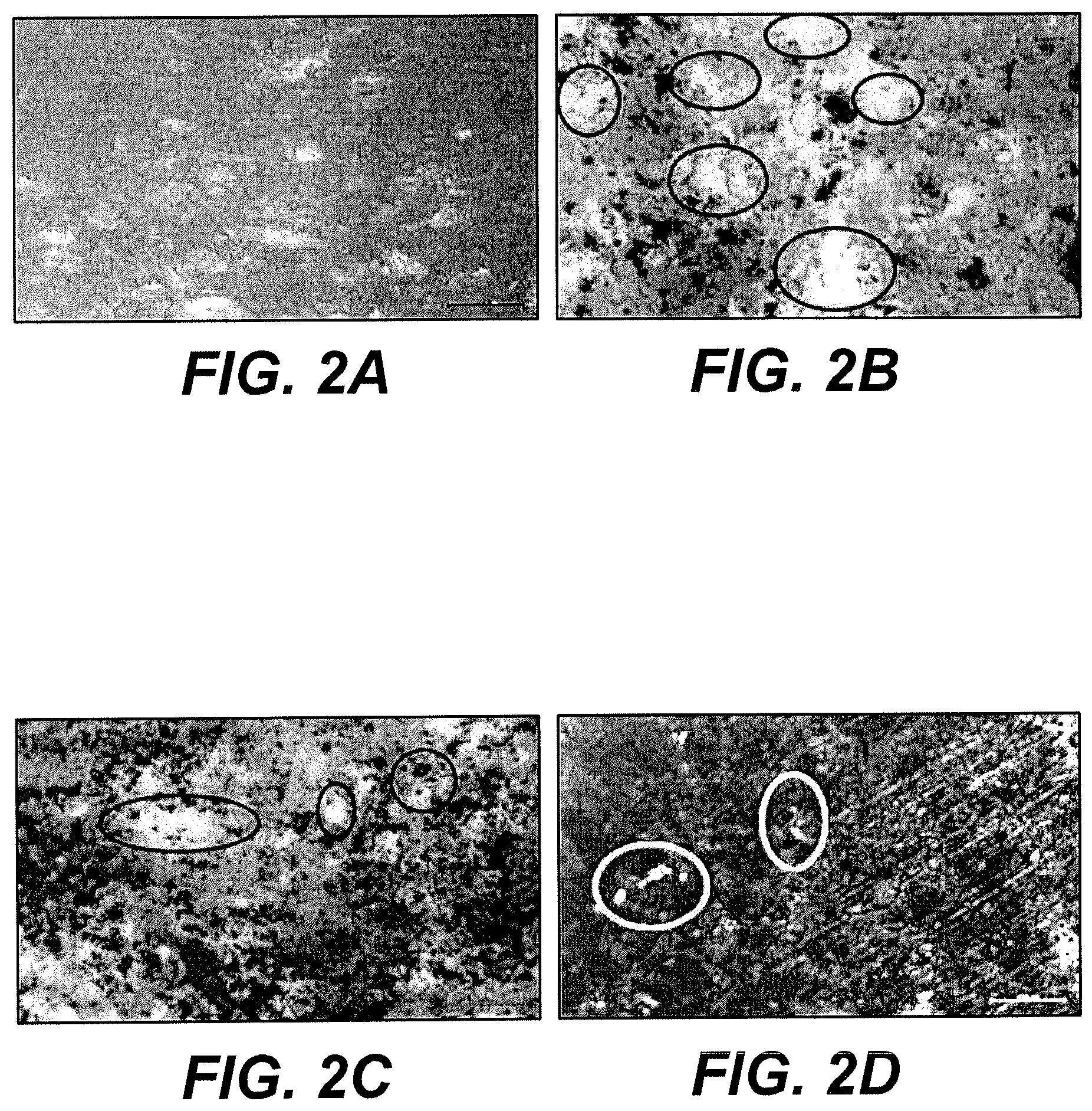 Patent US11814510 Figure 2 – Buffing dust waste/polystyrene thermal insulator