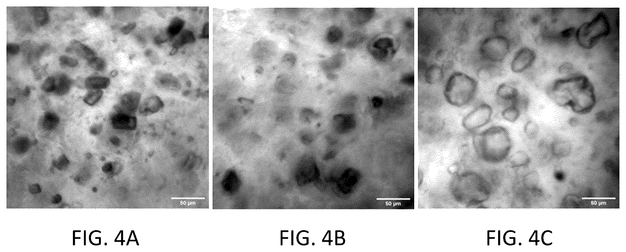 Patent US11814519 Figure 4 – Nitric oxide-releasing 3D-printing compositions and uses thereof