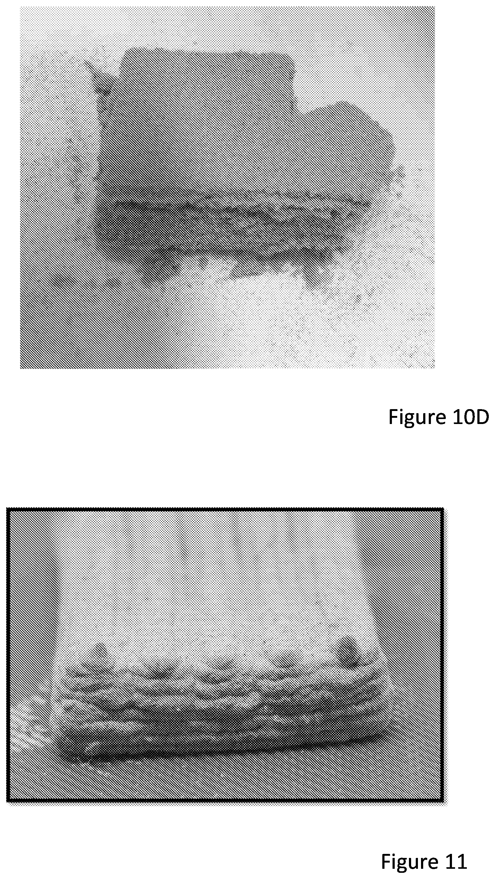 Patent US11814524 Figure 10 – Wood paste and objects made therefrom