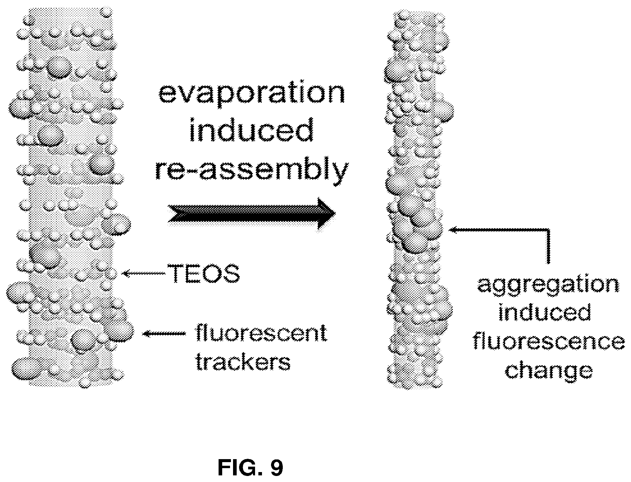 Patent US11814527 Figure 11 – Three-dimensional printing with supramolecular templated hydrogels
