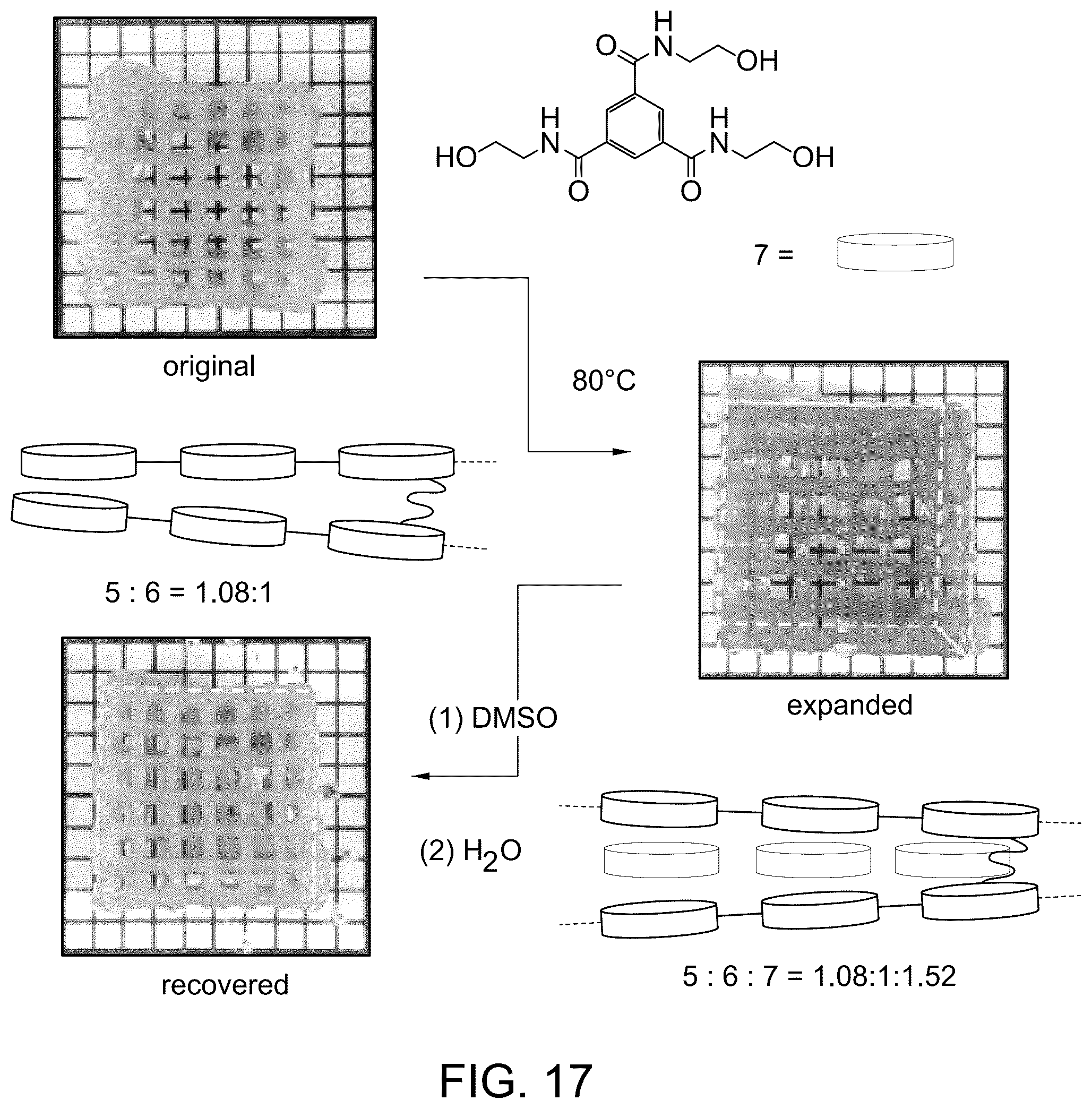 Patent US11814527 Figure 18 – Three-dimensional printing with supramolecular templated hydrogels