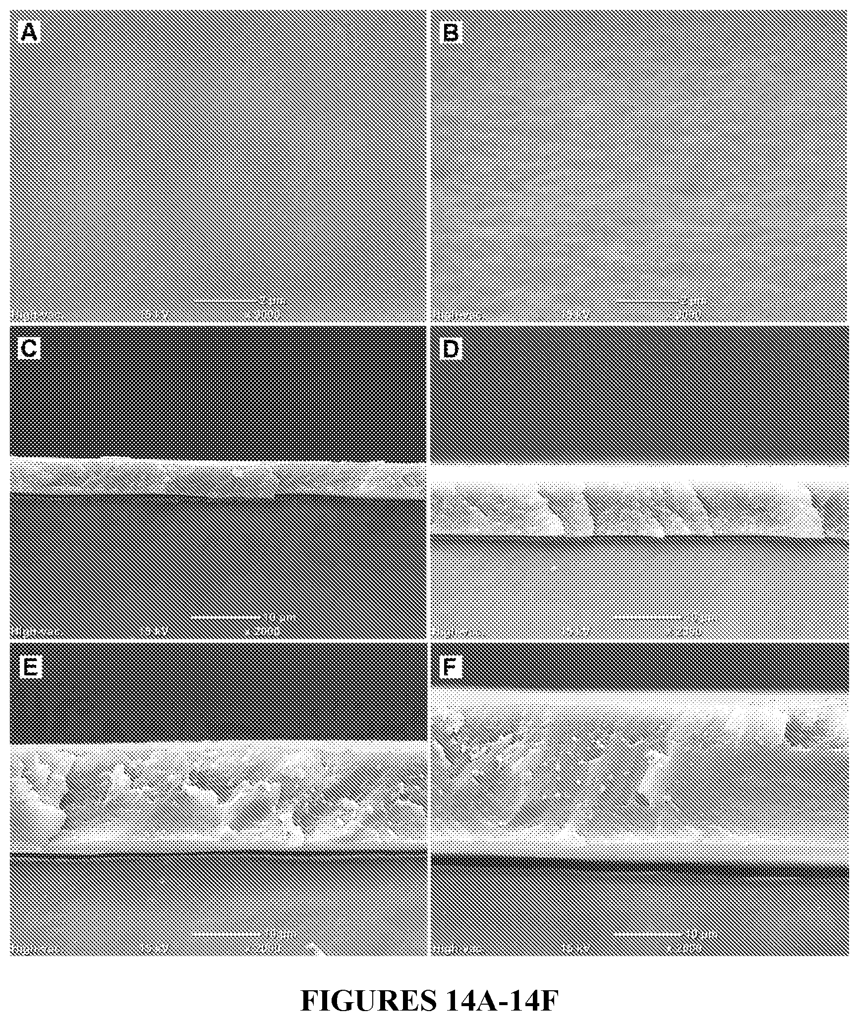 Patent US11814533 Figure 14 – Curable polymeric coatings for functional surface preparations