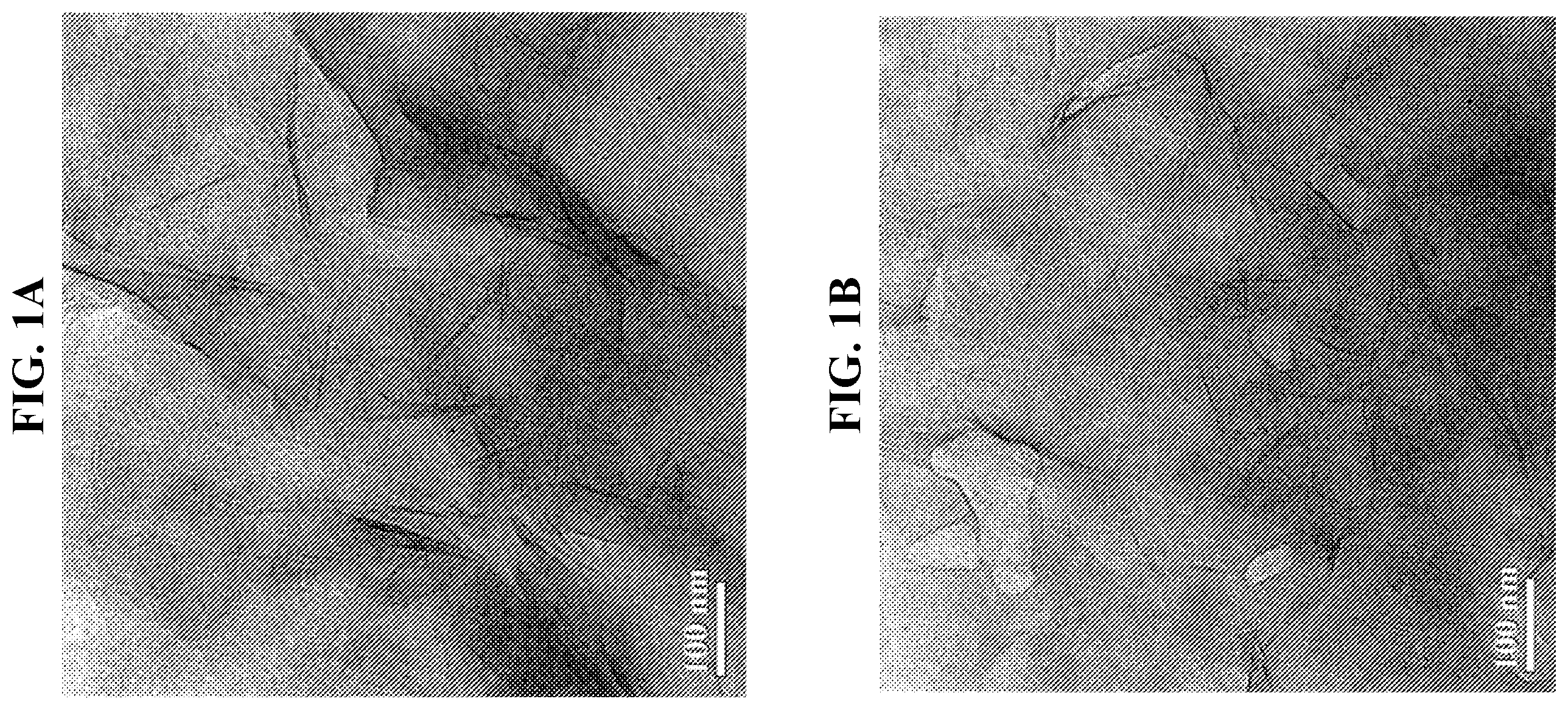 Patent US11814535 Figure 1 – Clay-polyacrylate composites suspension via in situ polymerization