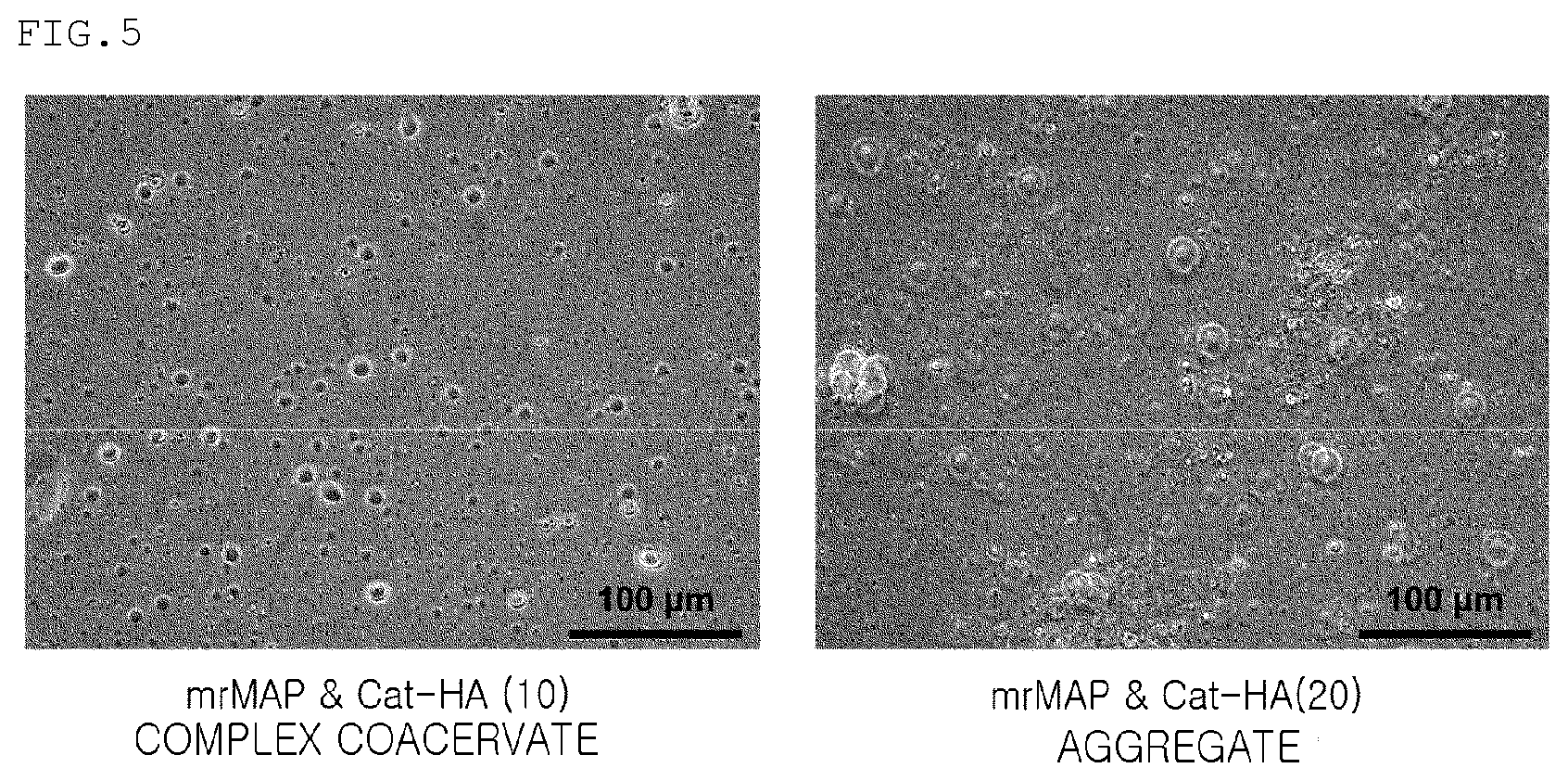 Patent US11814556 Figure 4 – Coacervate formed from catechol-substituted anionic polymer, adhesive comprising same, and method for producing same
