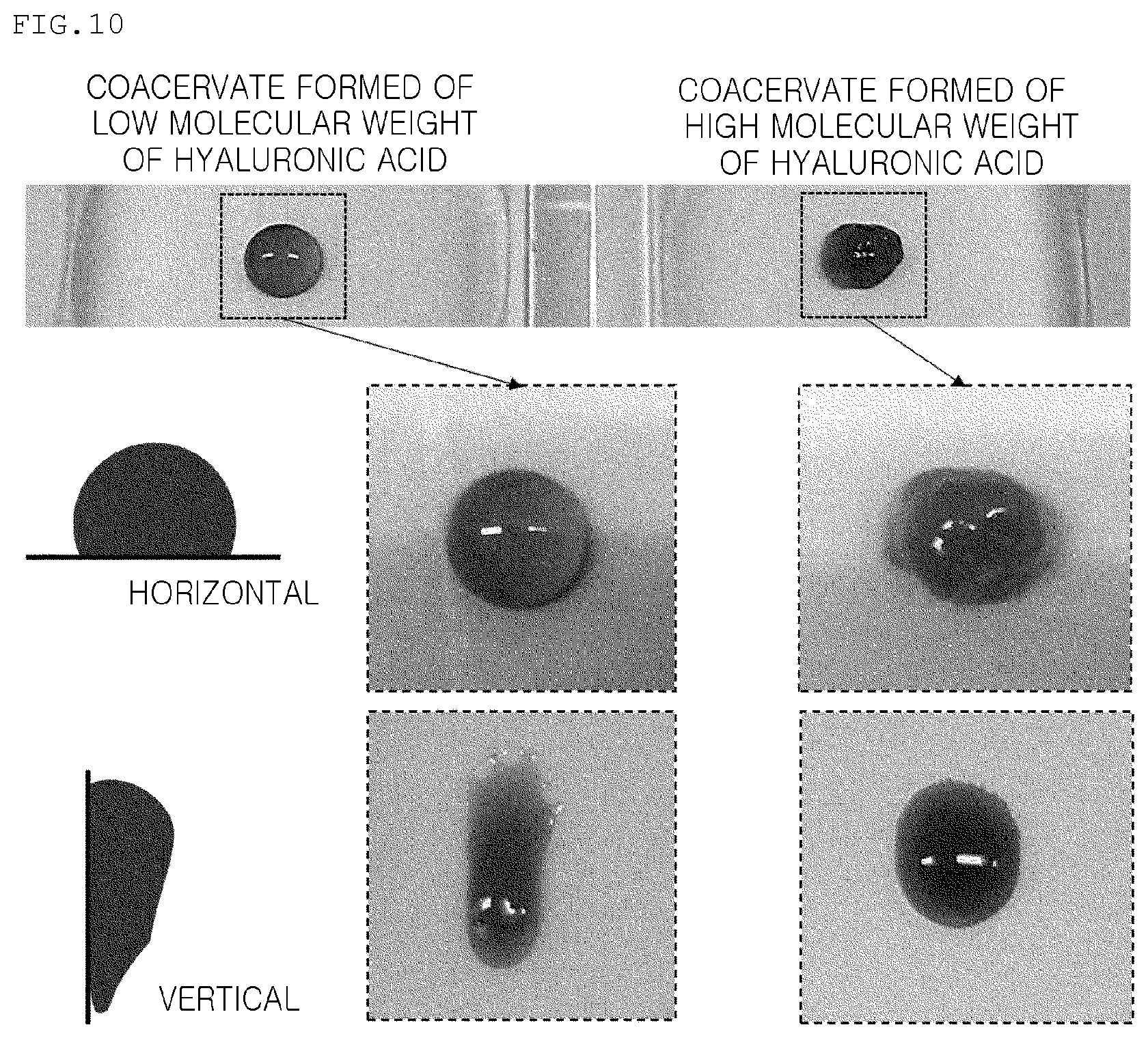 Patent US11814556 Figure 9 – Coacervate formed from catechol-substituted anionic polymer, adhesive comprising same, and method for producing same