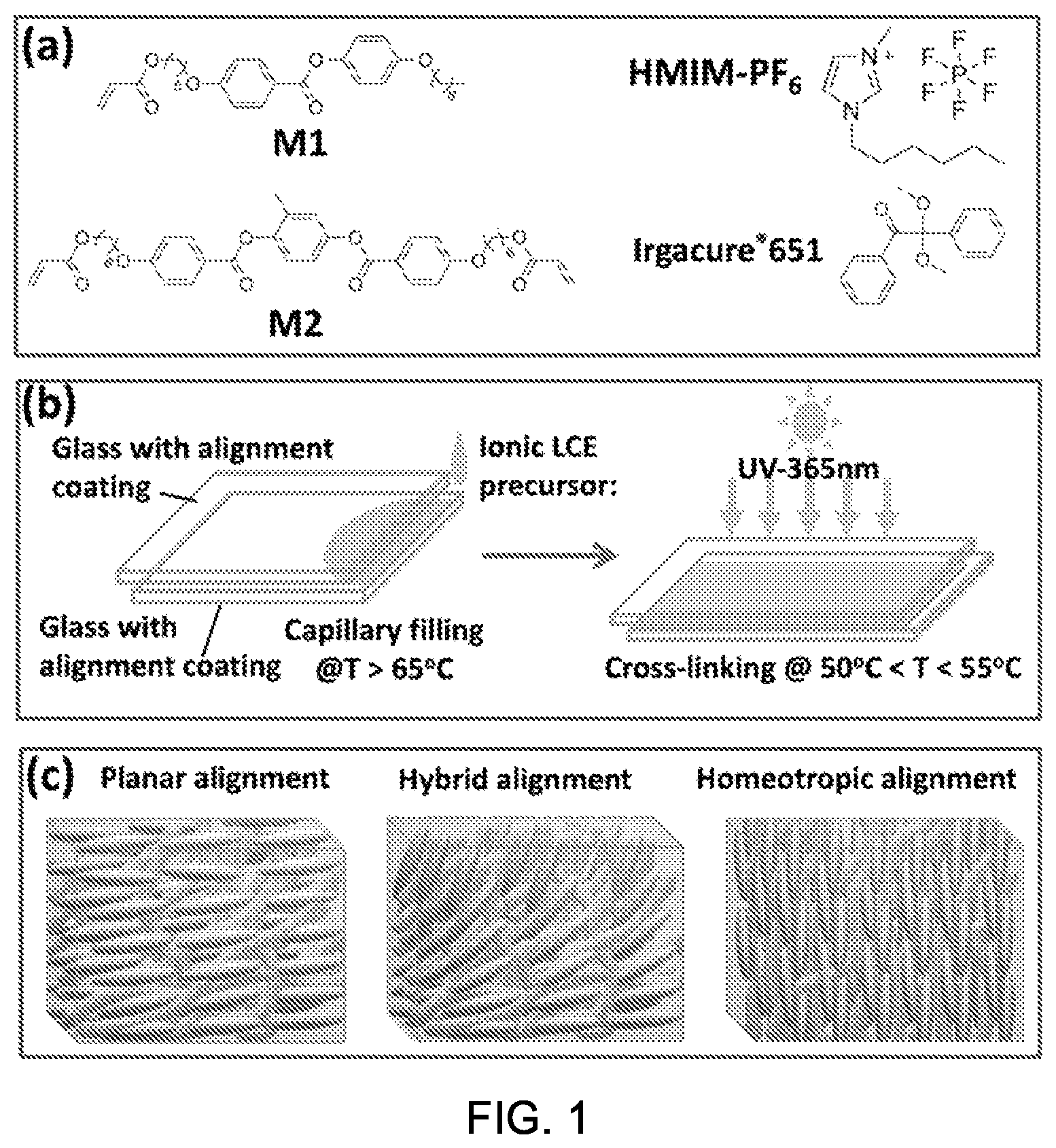 Patent US11814562 Figure 1 – Electro-responsive ionic liquid crystal elastomer