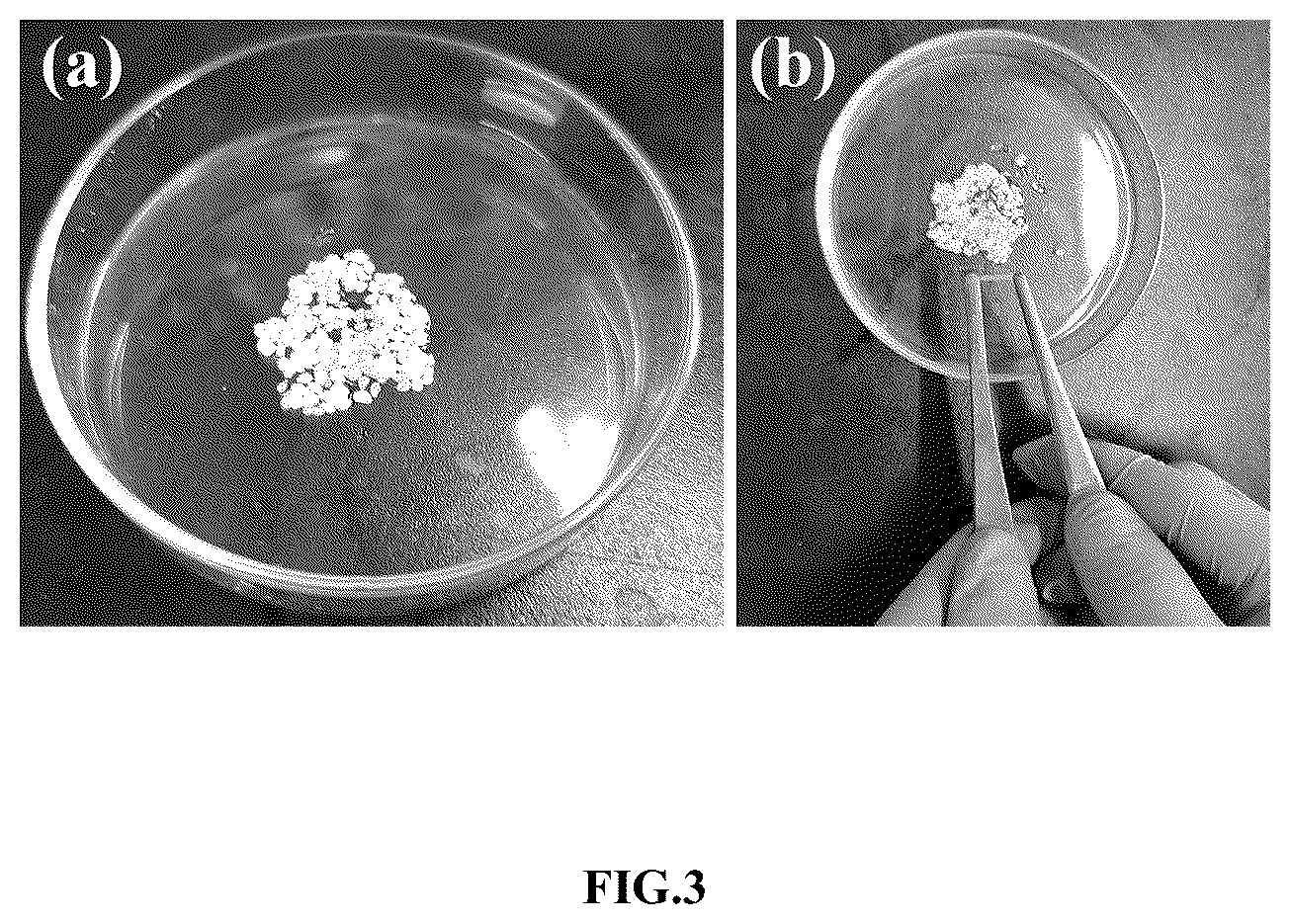 Patent US11814573 Figure 3 – Thermoplastic elastomer for profile control and water shutoff and method for preparing same