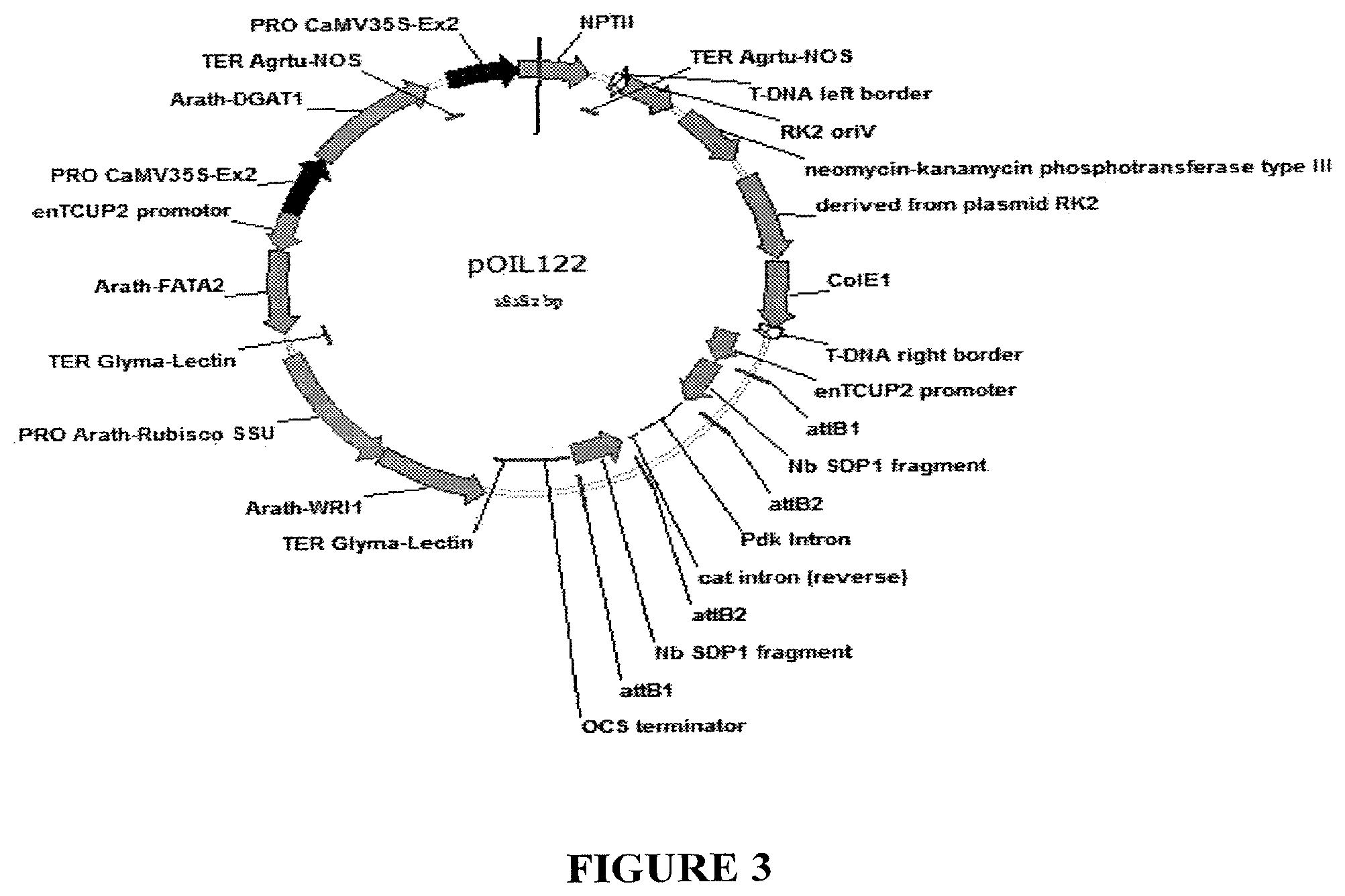 Patent US11814600 Figure 3 – Process for producing industrial products from plant lipids