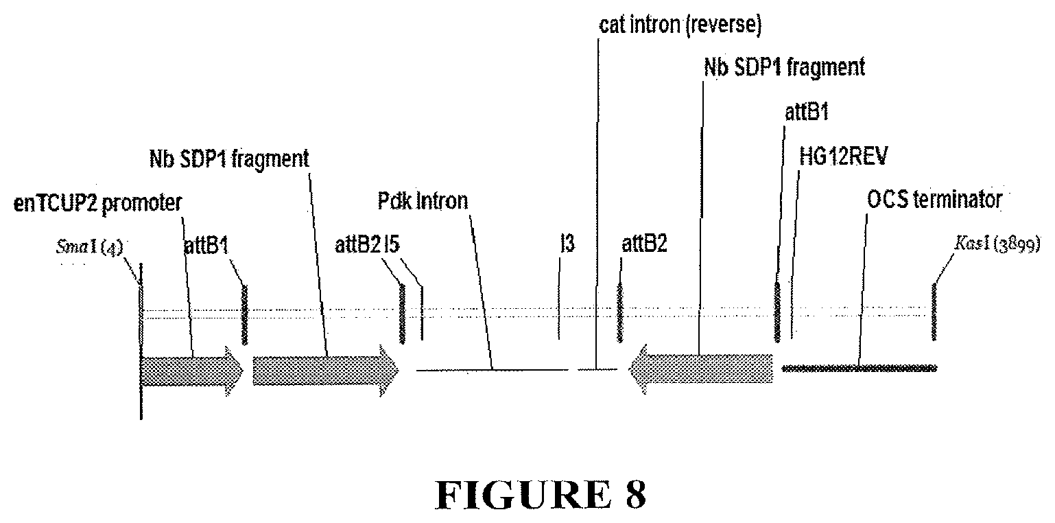 Patent US11814600 Figure 8 – Process for producing industrial products from plant lipids