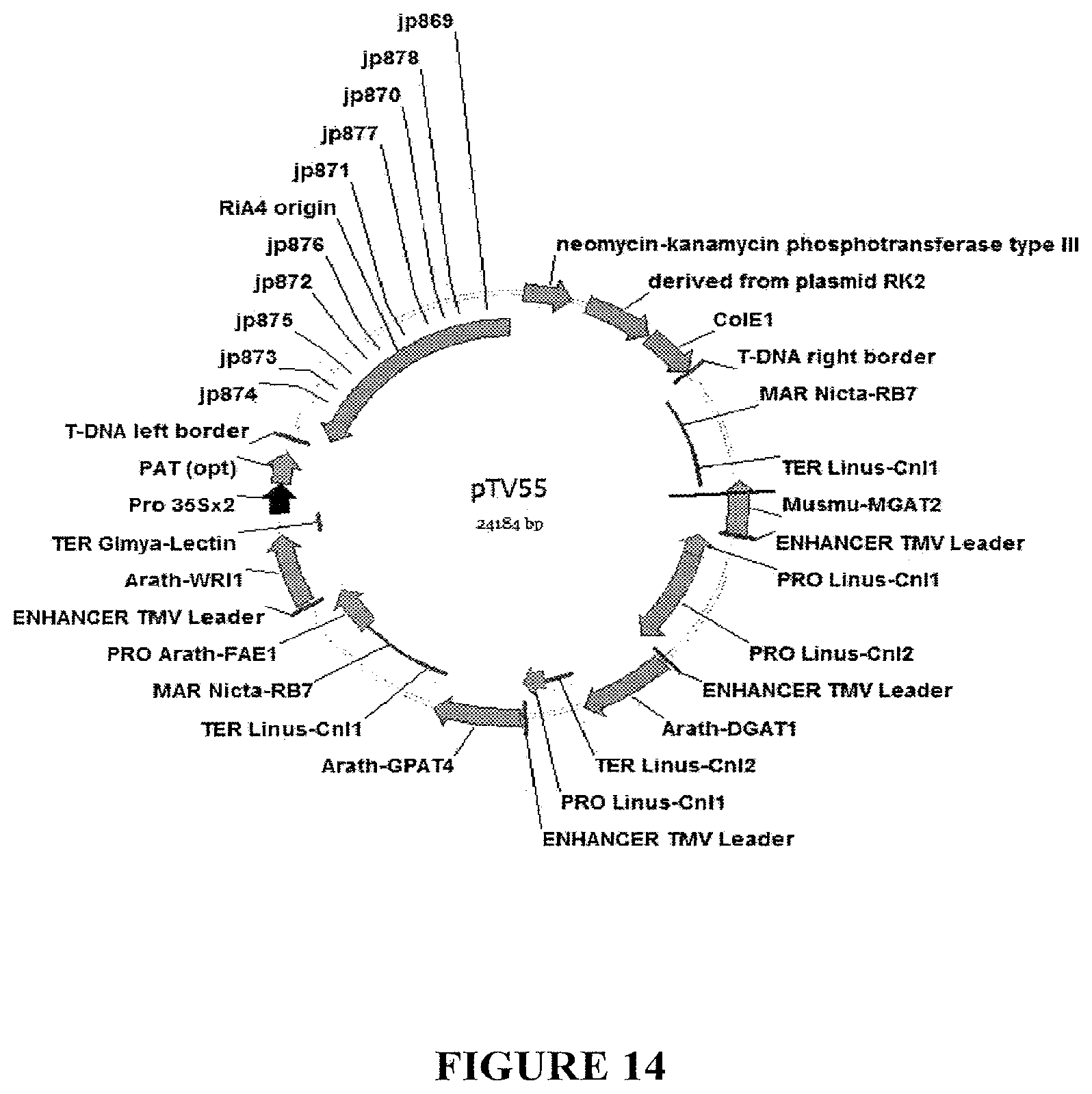 Patent US11814600 Figure 14 – Process for producing industrial products from plant lipids