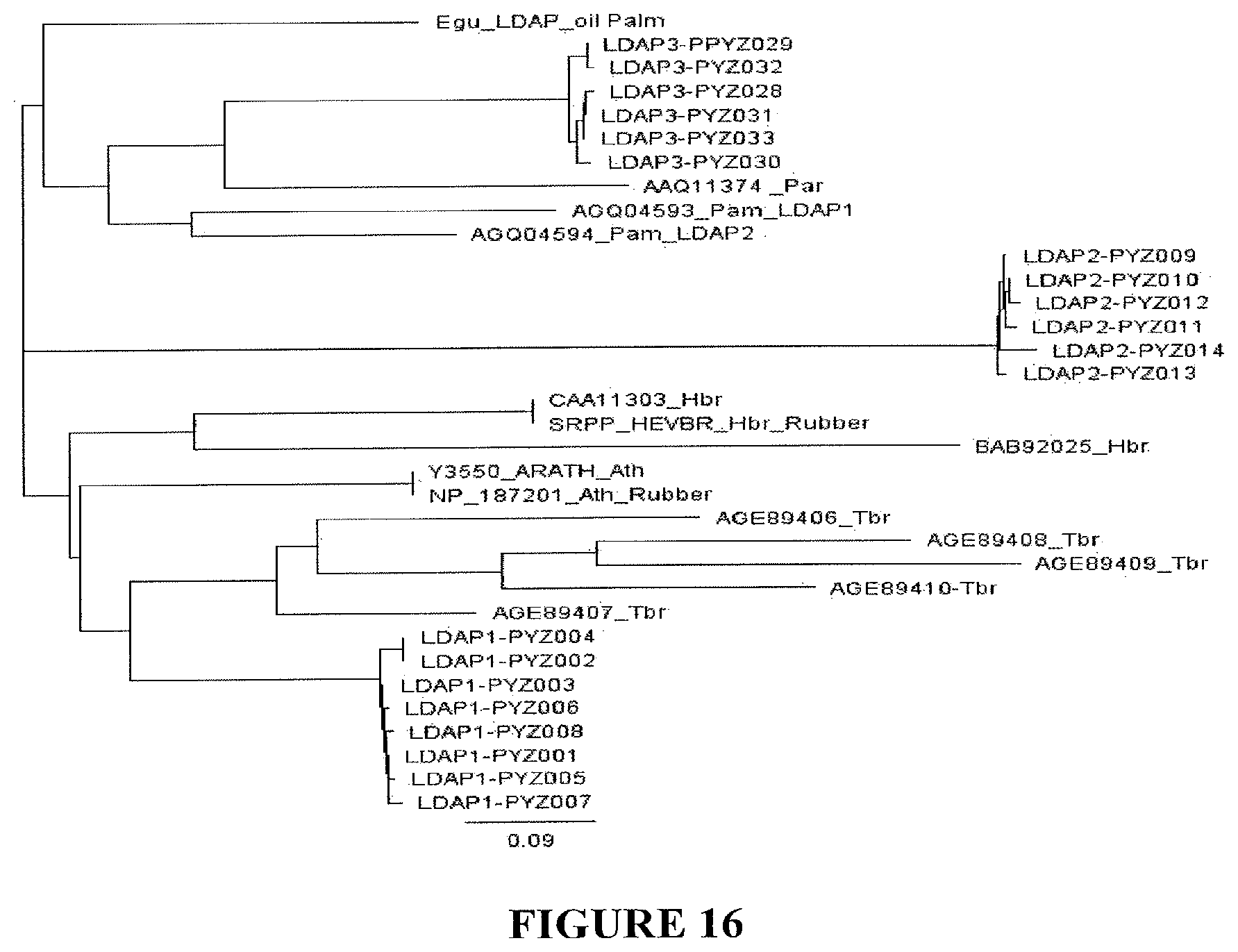 Patent US11814600 Figure 16 – Process for producing industrial products from plant lipids