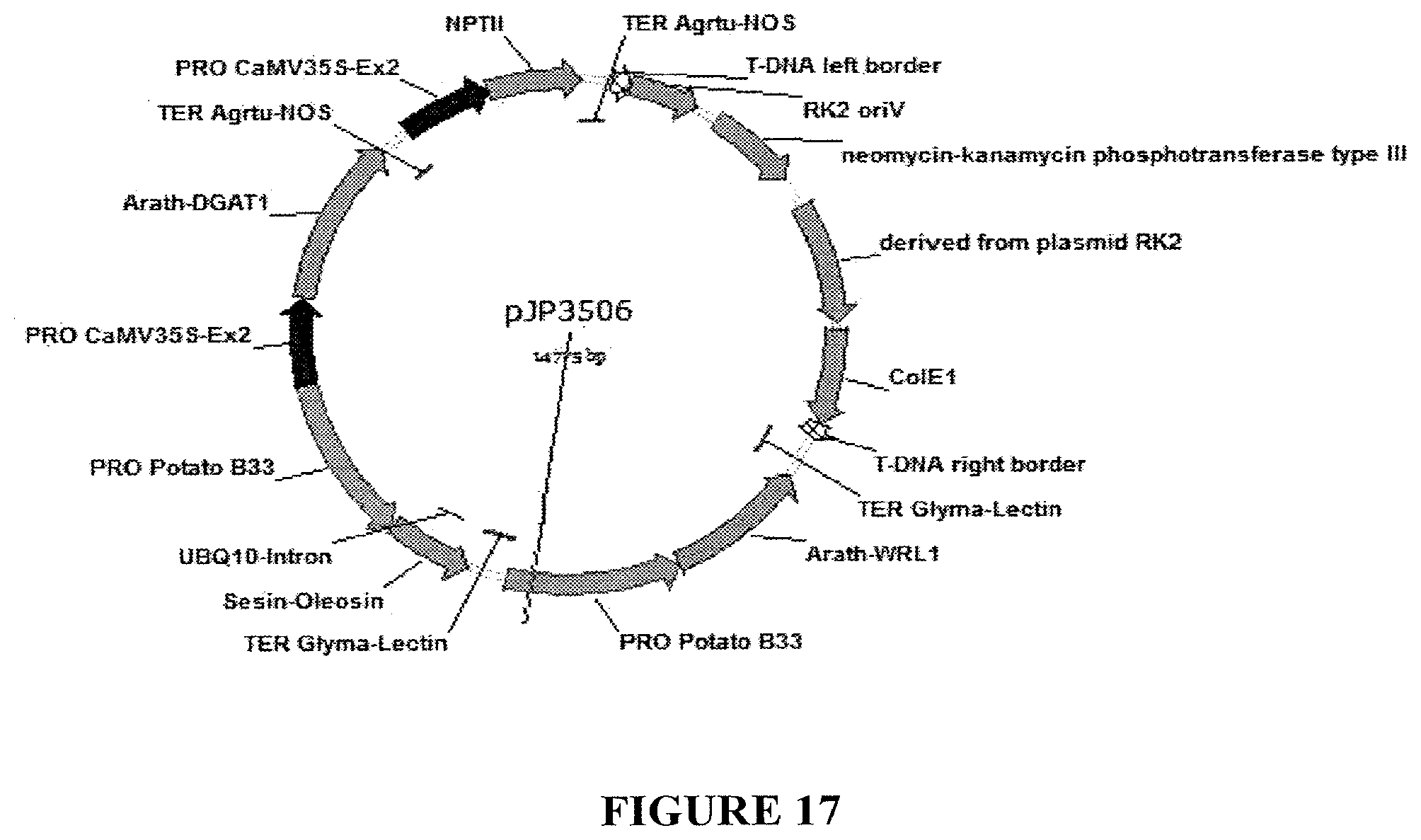 Patent US11814600 Figure 17 – Process for producing industrial products from plant lipids