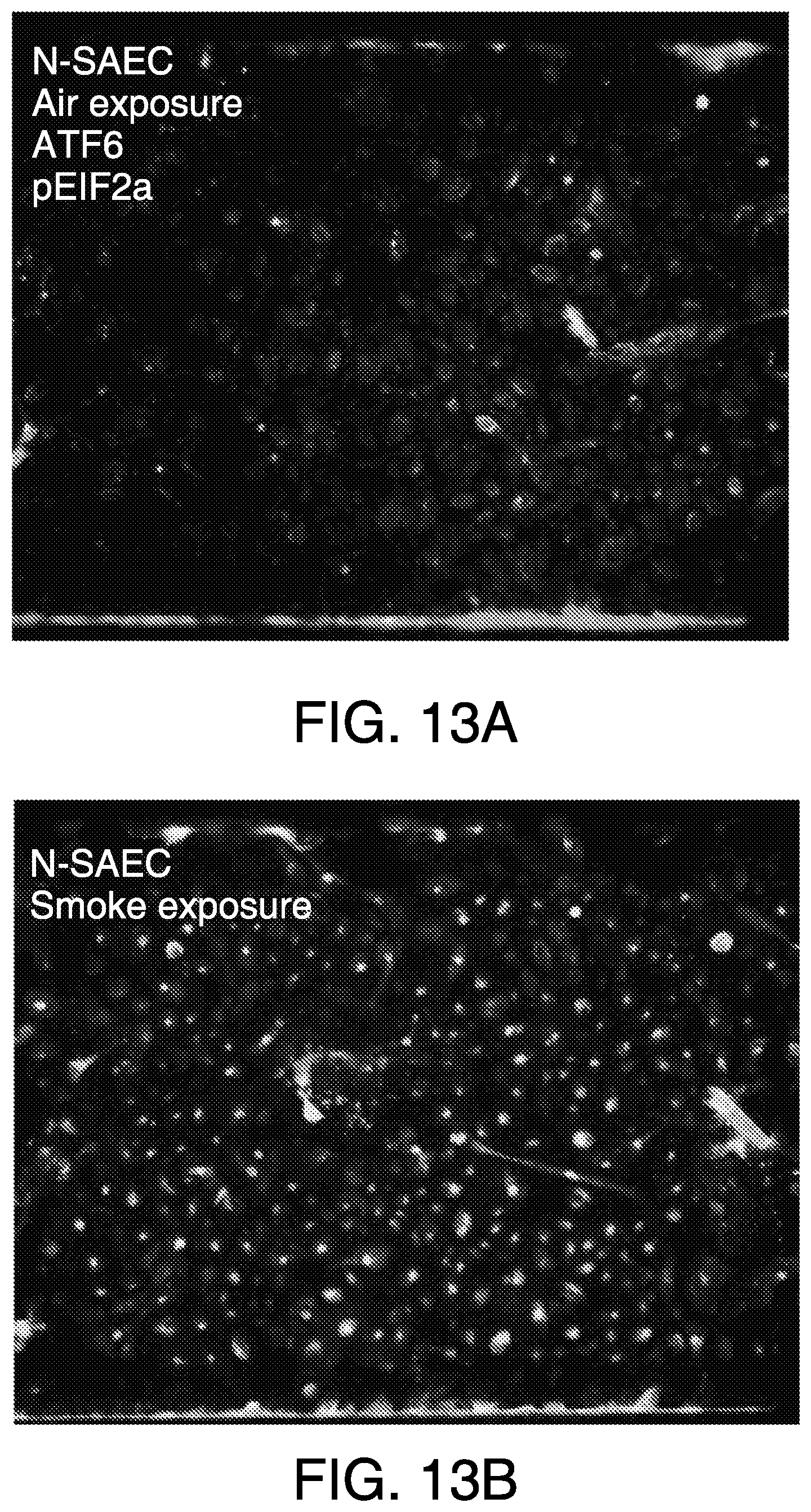 Patent US11814613 Figure 10 – Lung disease models on a chip