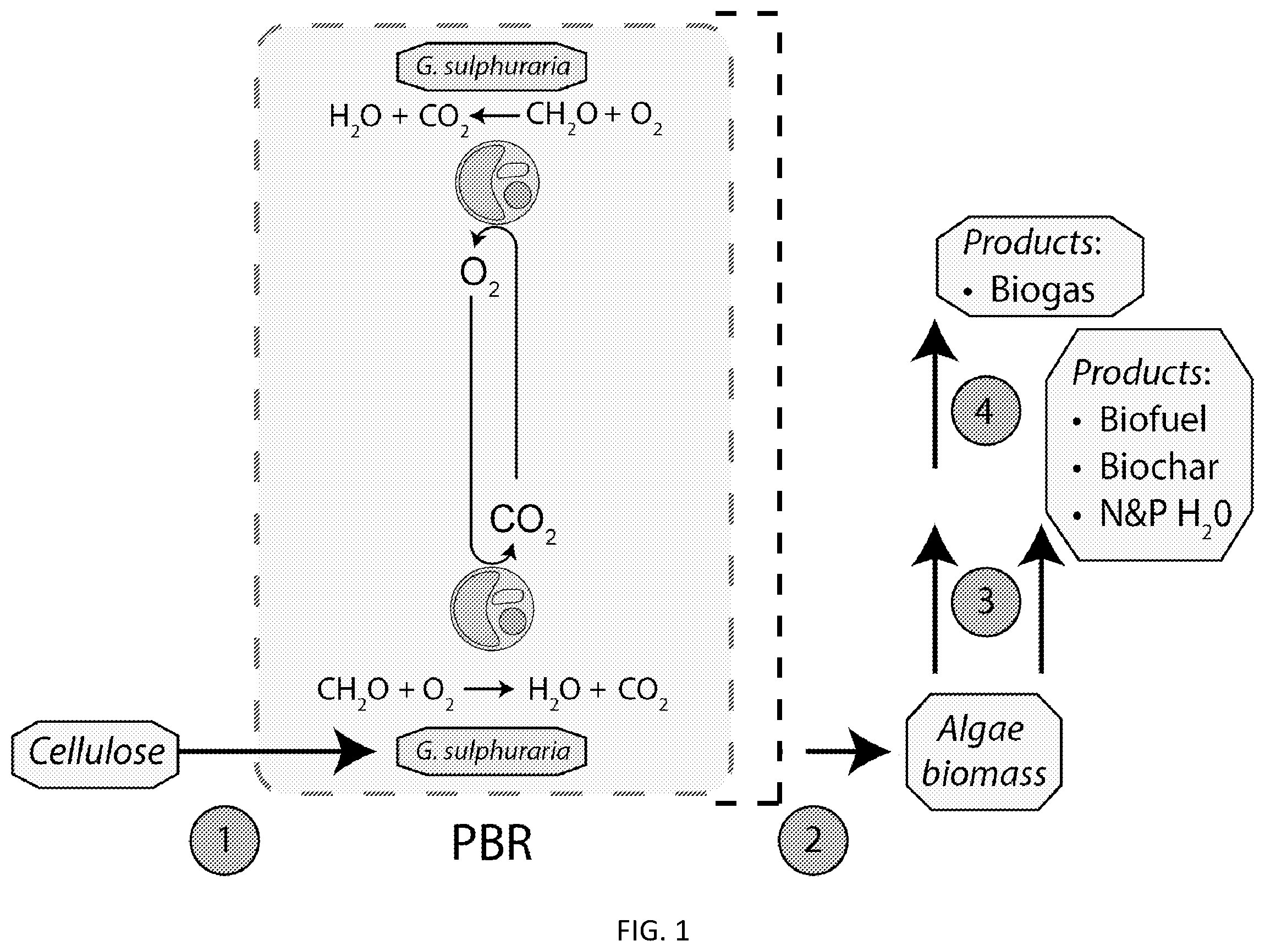 Patent US11814616 Figure 1 – Methods of increasing biomass productivity in algae cultures