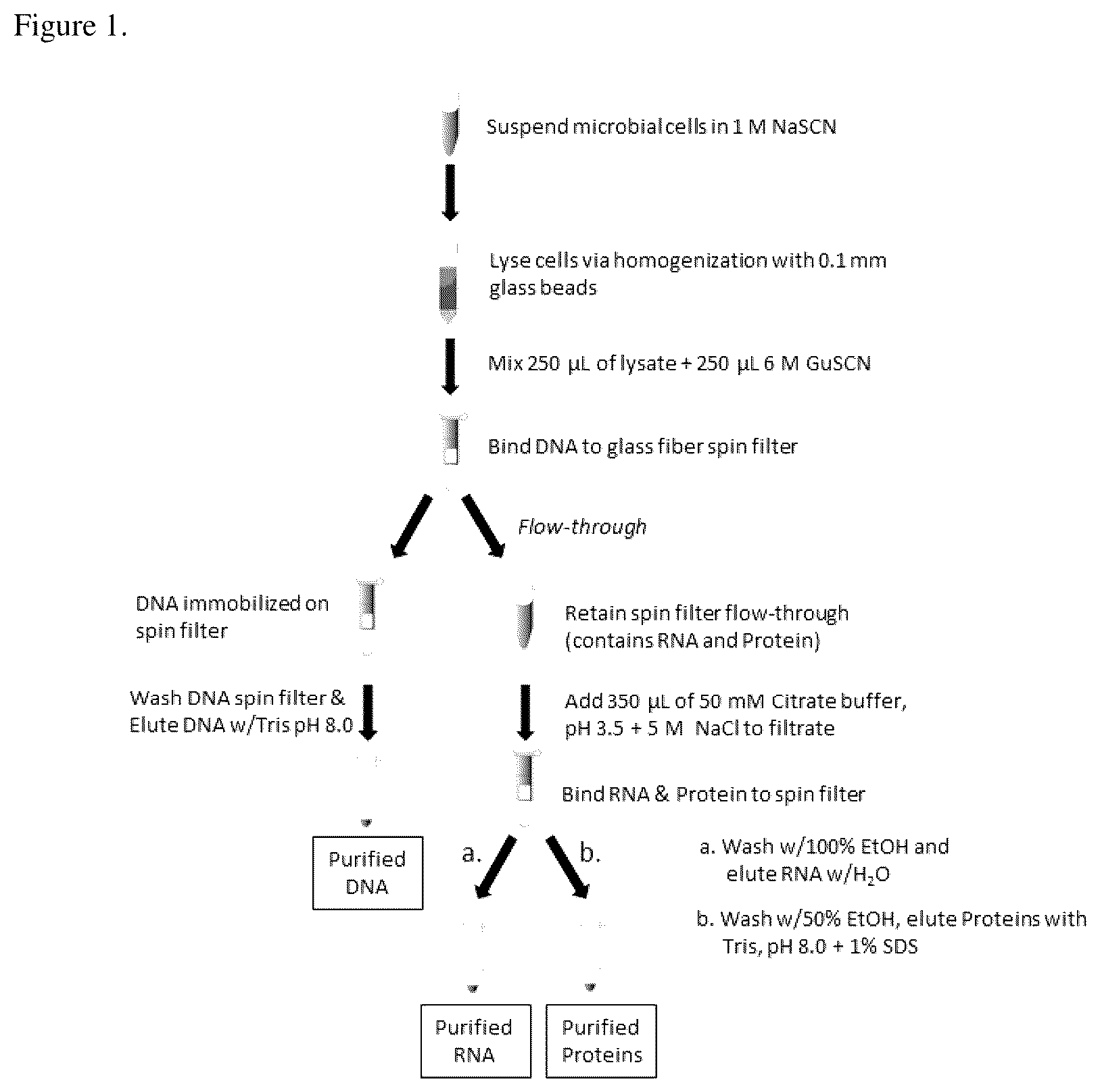 Patent US11814618 Figure 1 – Methods for co-isolation of nucleic acids and proteins