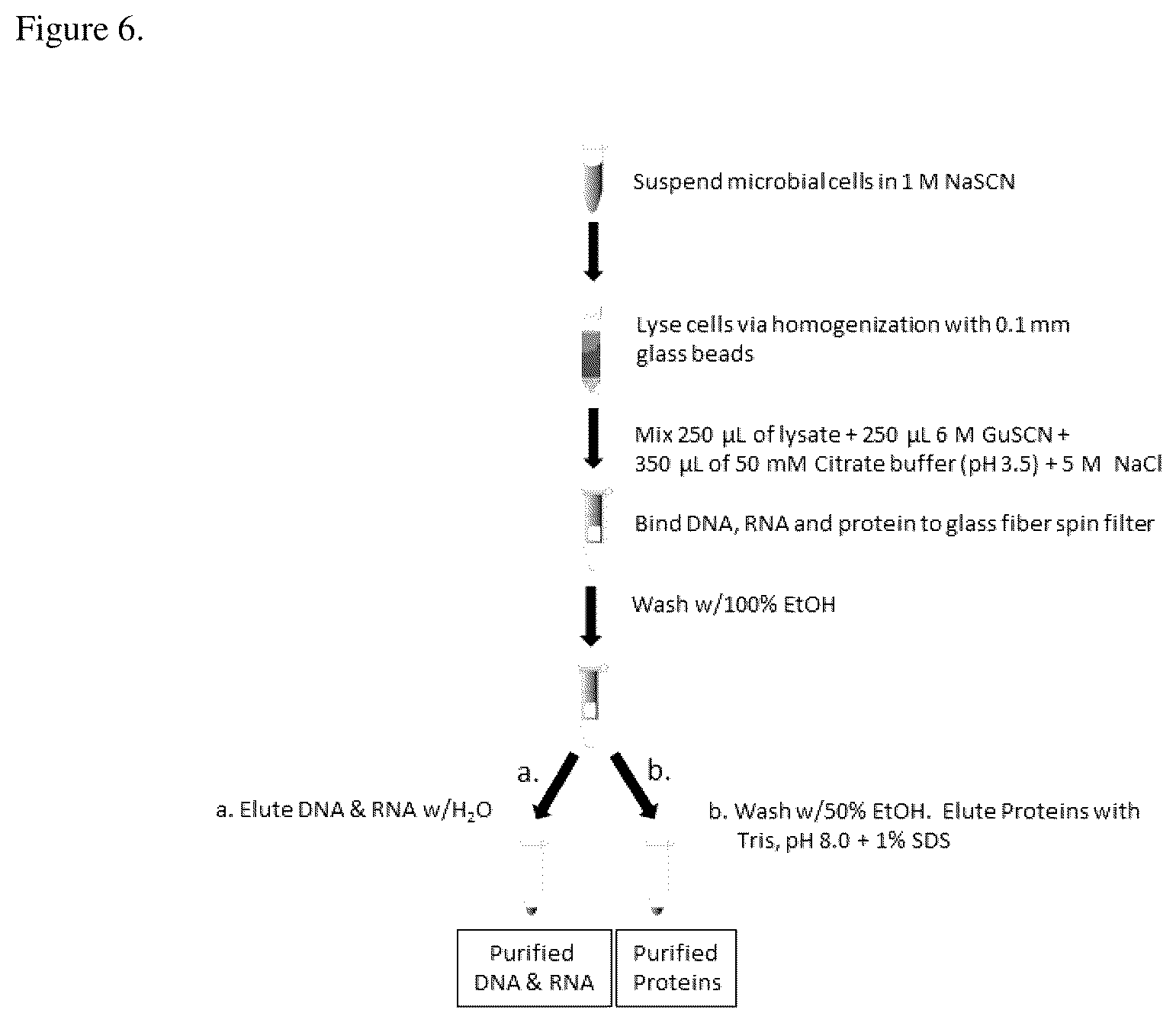 Patent US11814618 Figure 6 – Methods for co-isolation of nucleic acids and proteins