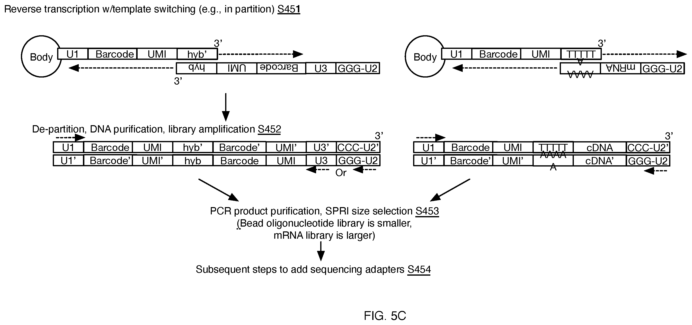 Patent US11814619 Figure 12 – Compositions, methods, and systems for single cell barcoding and sequencing