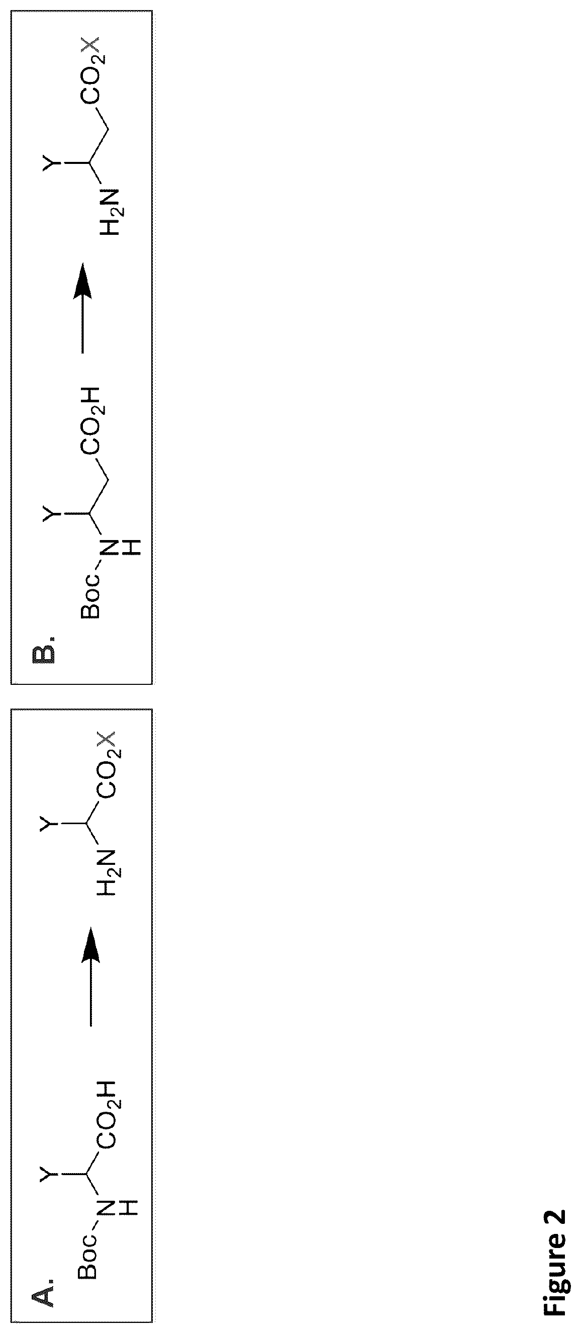 Patent US11814621 Figure 3 – Expanding the chemical substrates for genetic code reprogramming