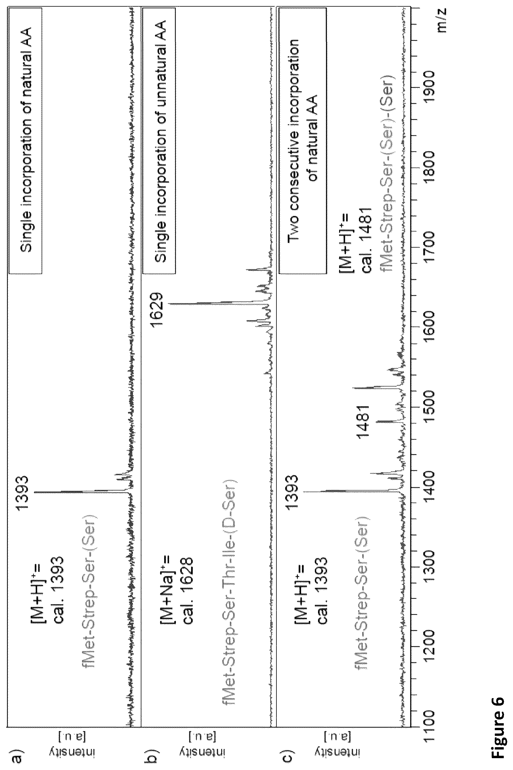 Patent US11814621 Figure 7 – Expanding the chemical substrates for genetic code reprogramming