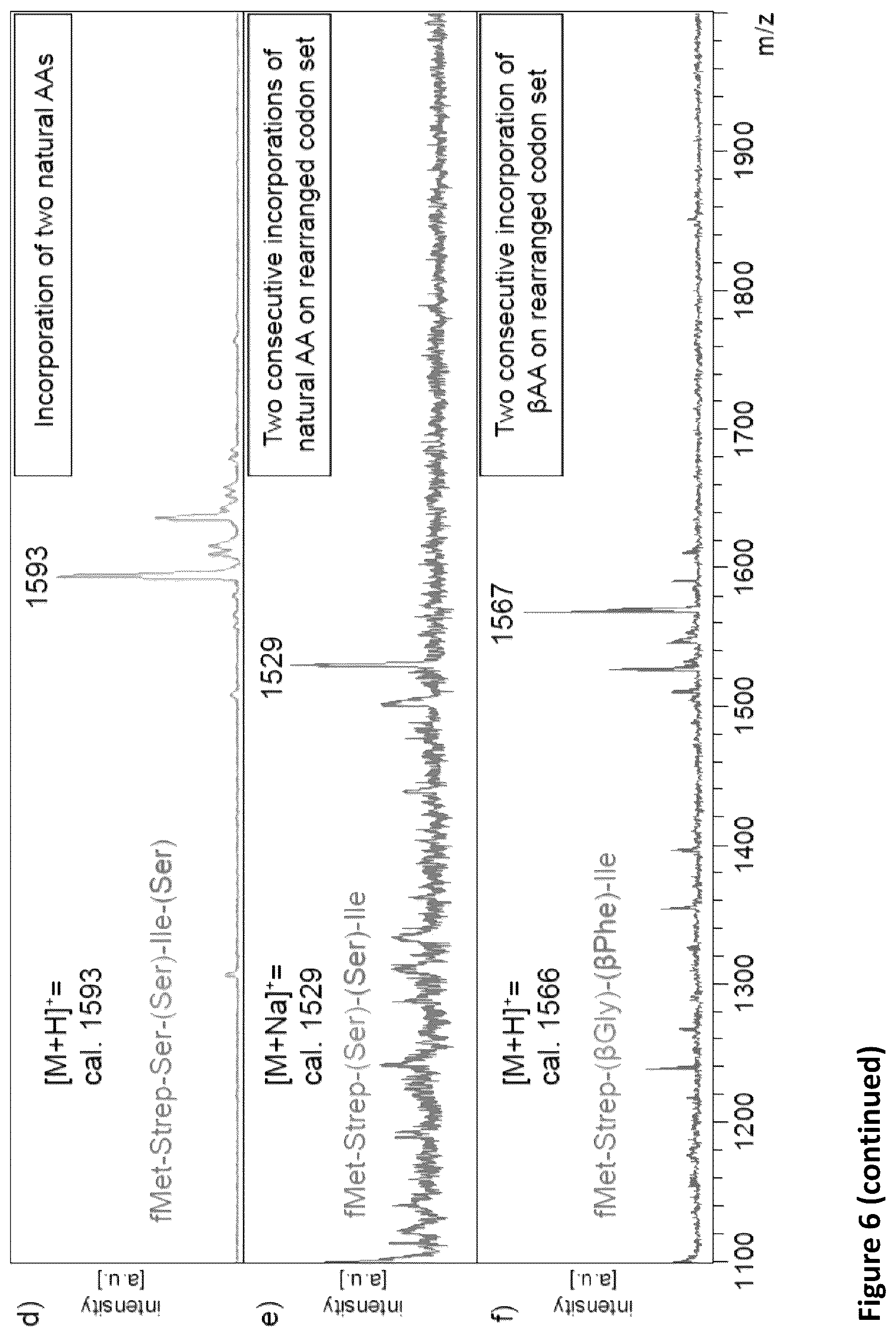 Patent US11814621 Figure 8 – Expanding the chemical substrates for genetic code reprogramming
