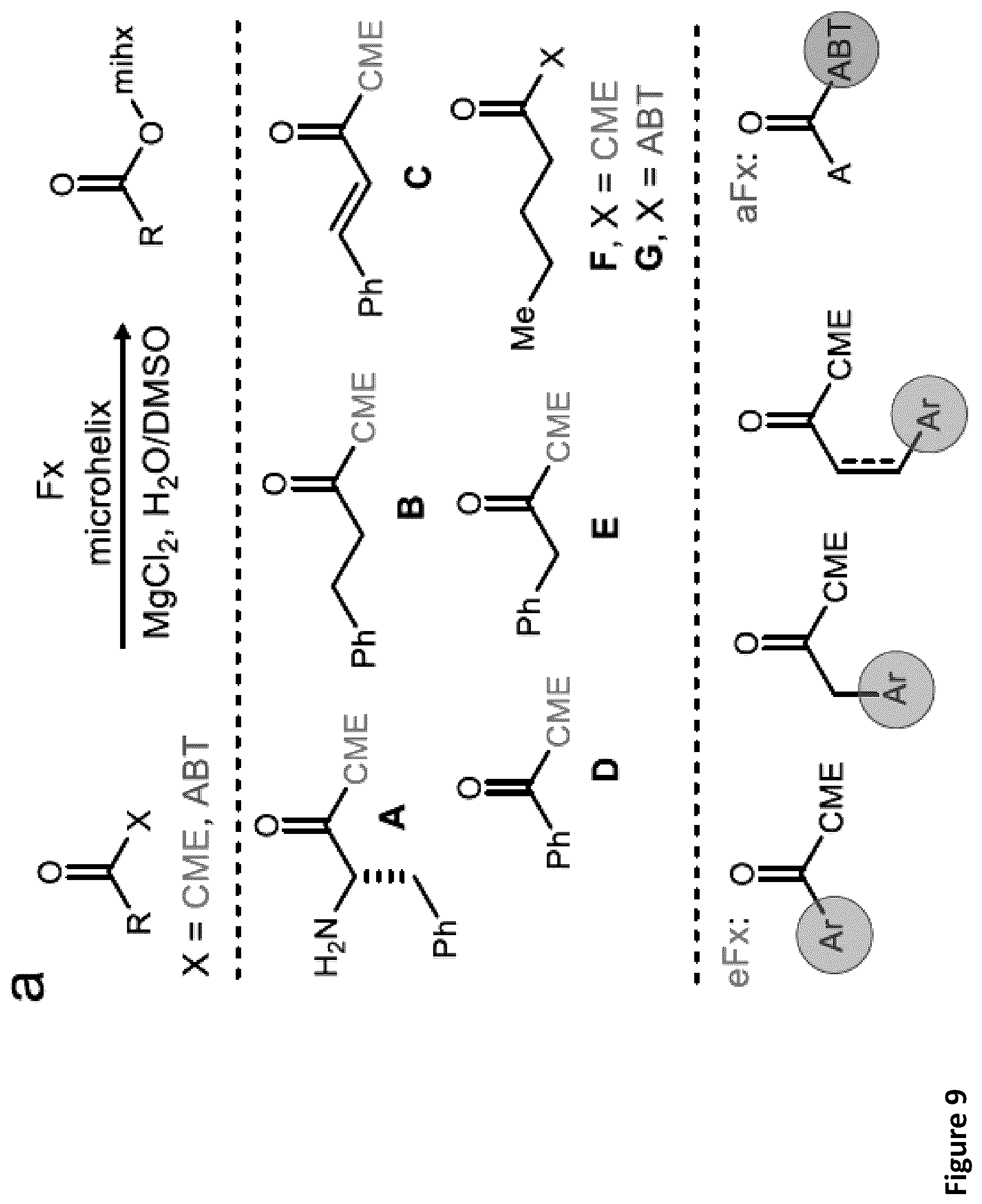 Patent US11814621 Figure 12 – Expanding the chemical substrates for genetic code reprogramming