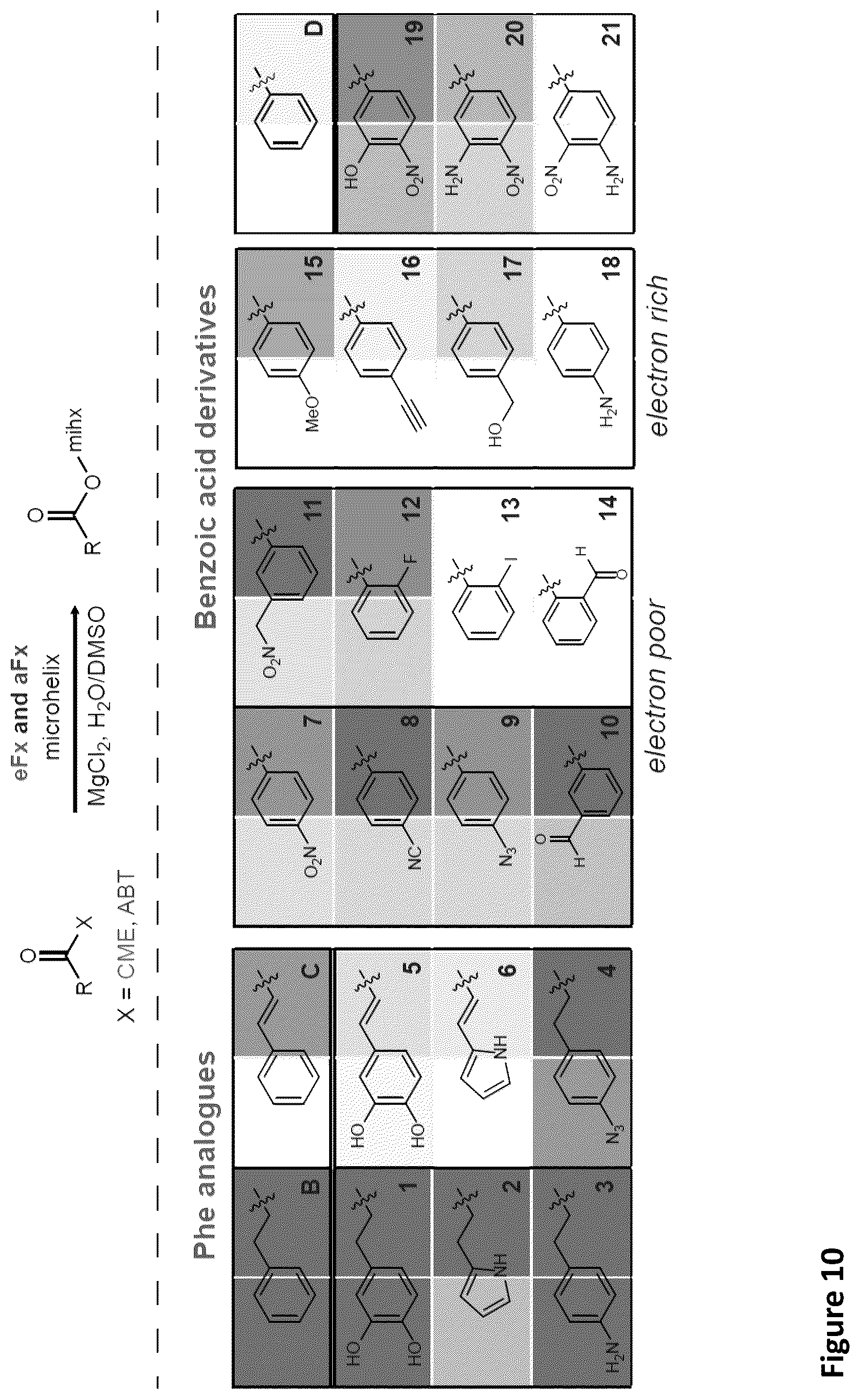 Patent US11814621 Figure 14 – Expanding the chemical substrates for genetic code reprogramming