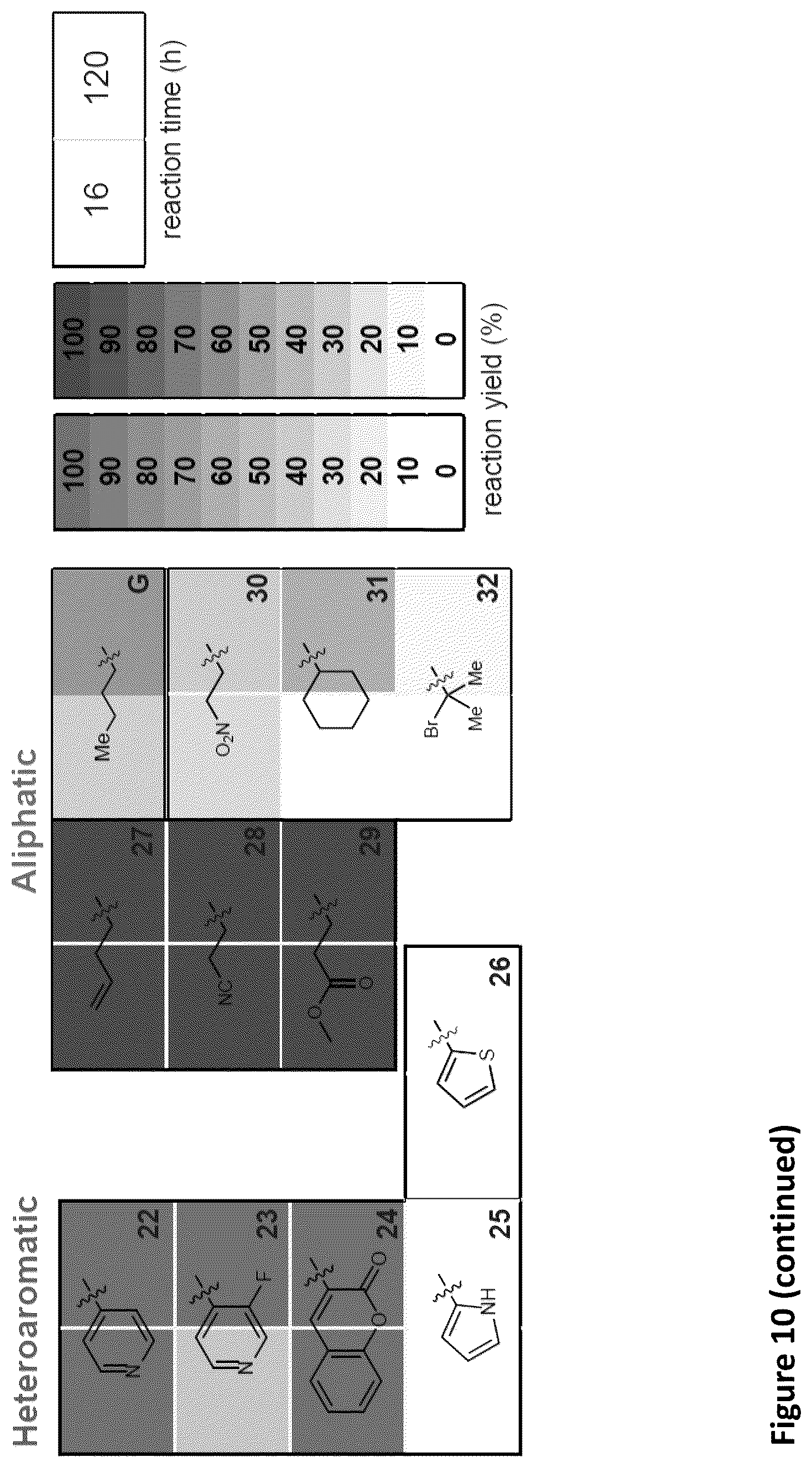 Patent US11814621 Figure 15 – Expanding the chemical substrates for genetic code reprogramming