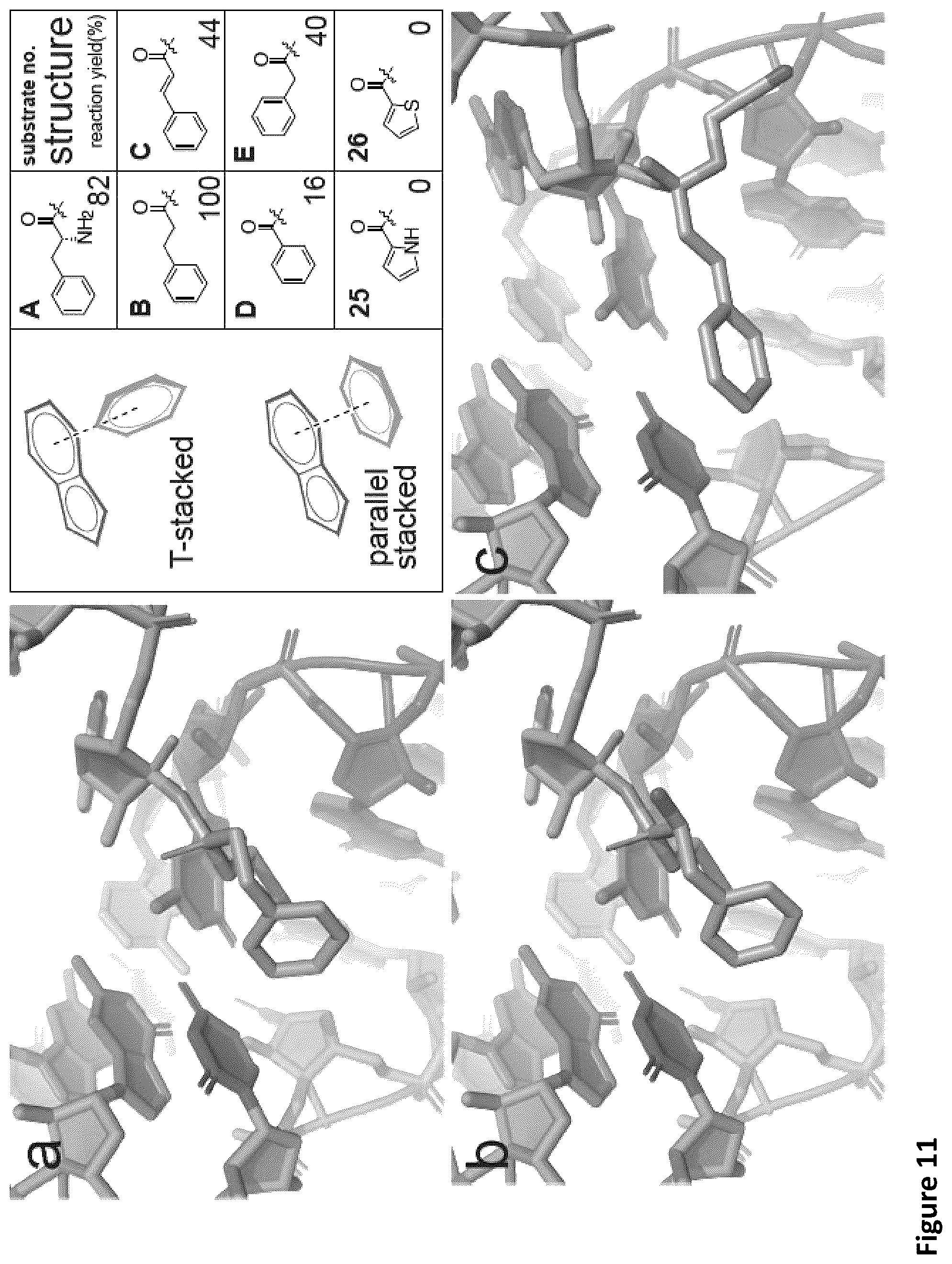 Patent US11814621 Figure 16 – Expanding the chemical substrates for genetic code reprogramming