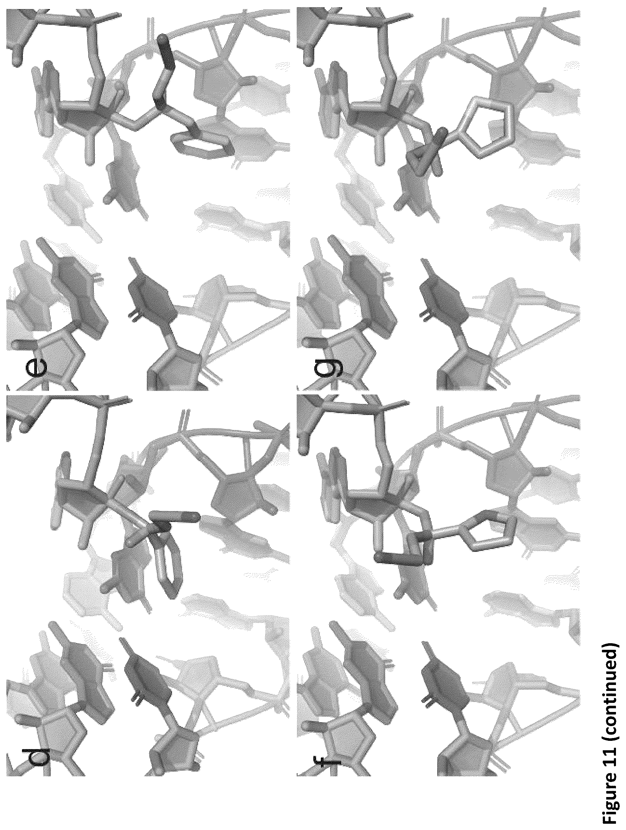 Patent US11814621 Figure 17 – Expanding the chemical substrates for genetic code reprogramming