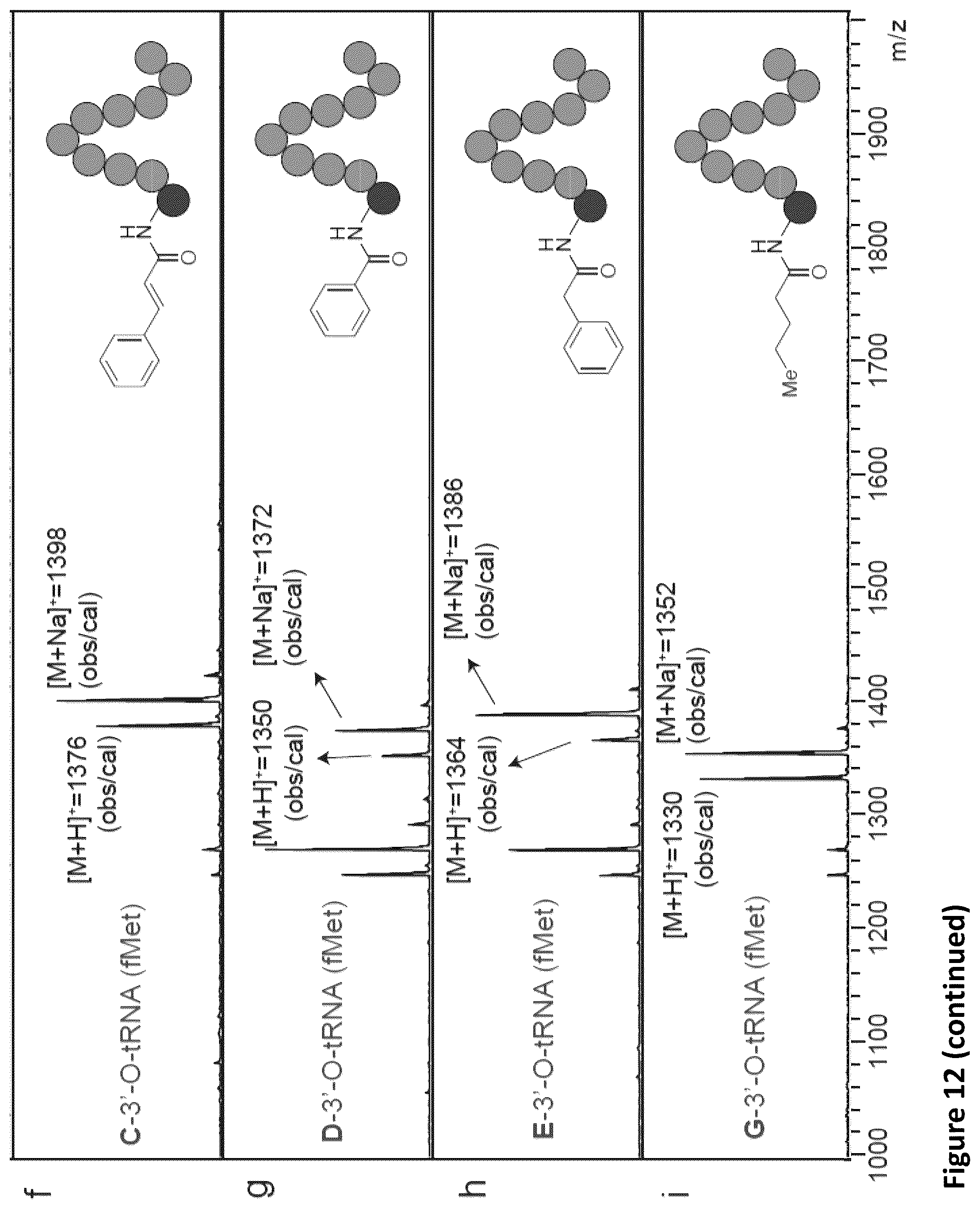 Patent US11814621 Figure 20 – Expanding the chemical substrates for genetic code reprogramming