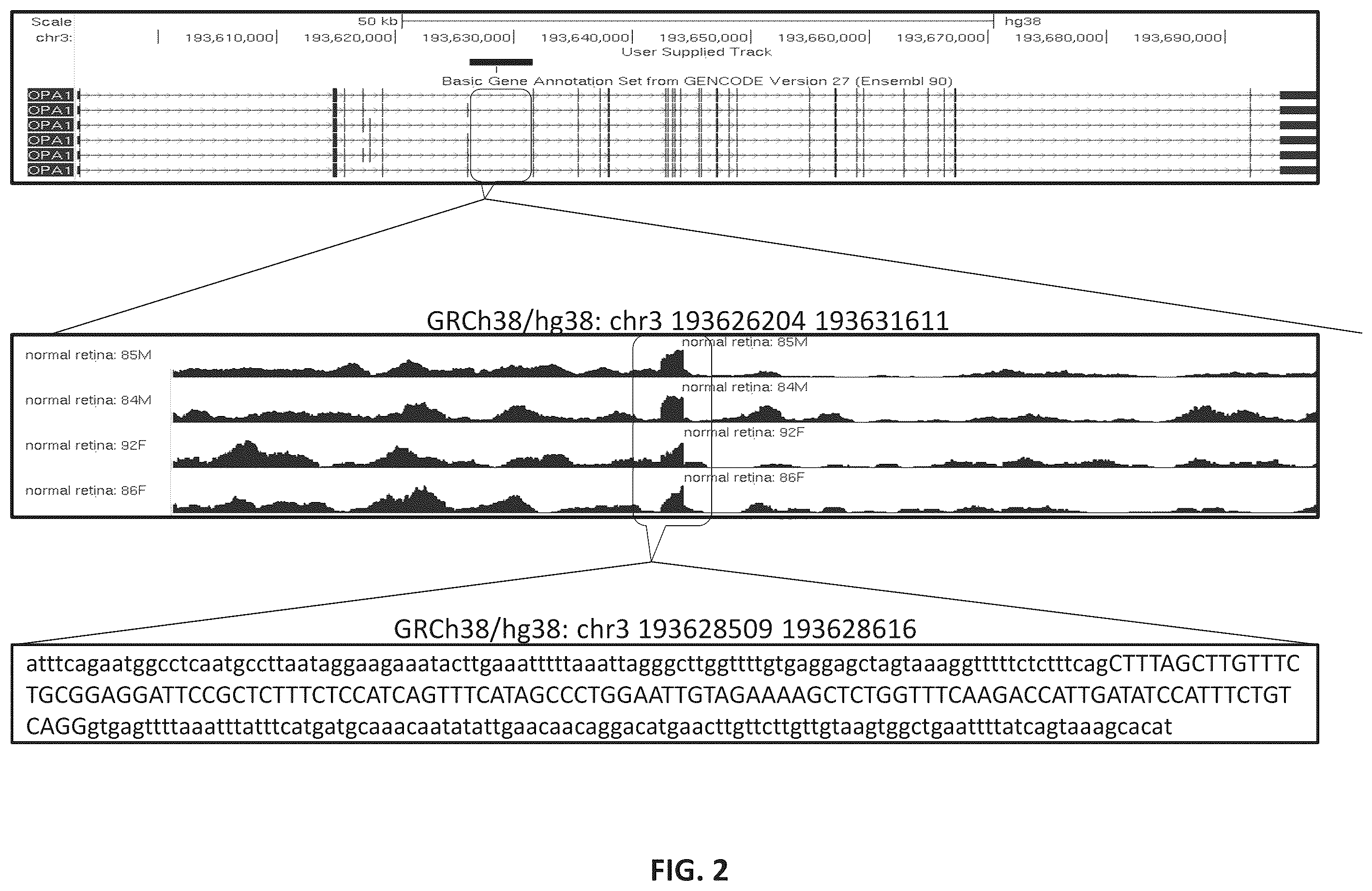 Patent US11814622 Figure 3 – OPA1 antisense oligomers for treatment of conditions and diseases