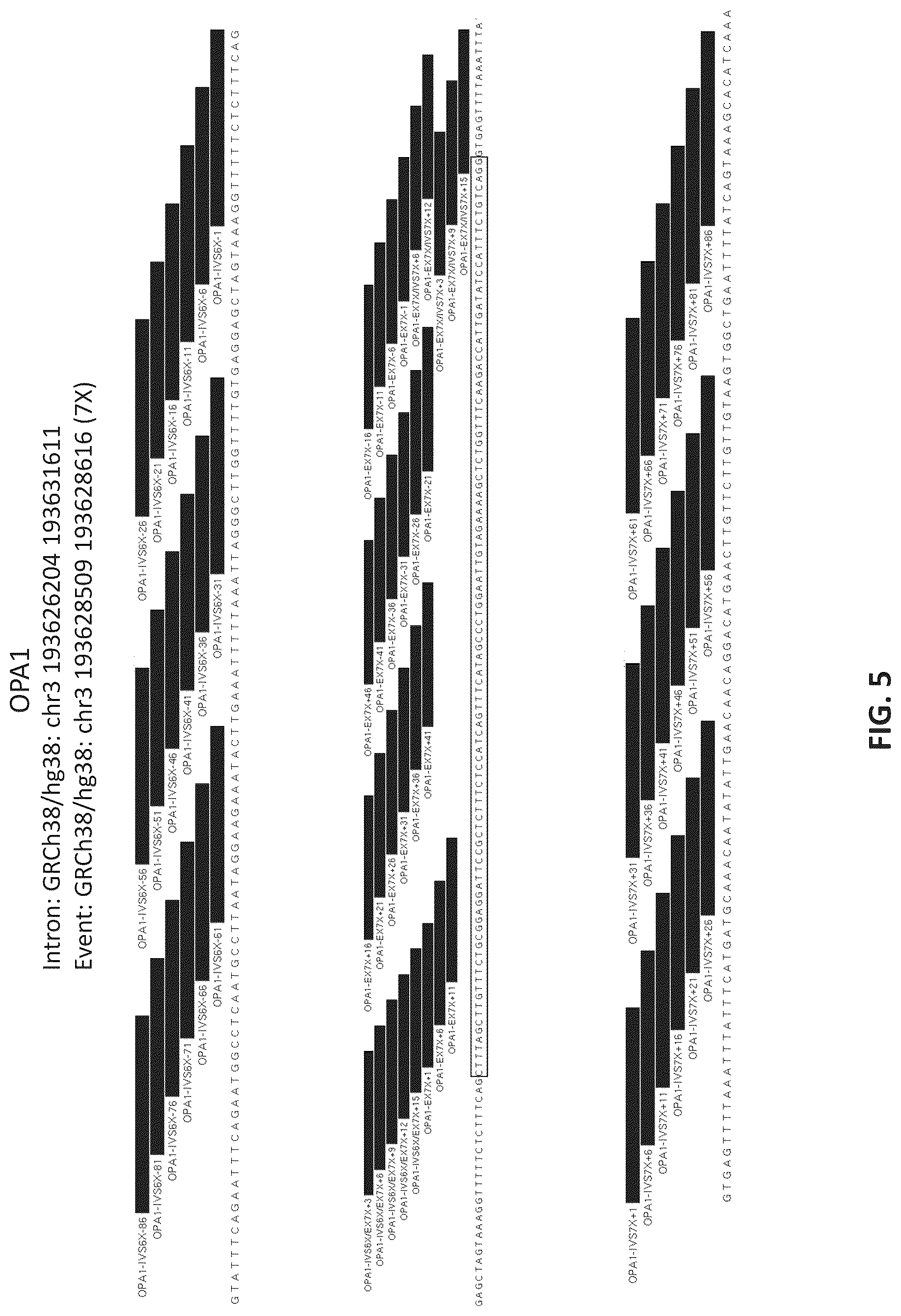 Patent US11814622 Figure 6 – OPA1 antisense oligomers for treatment of conditions and diseases