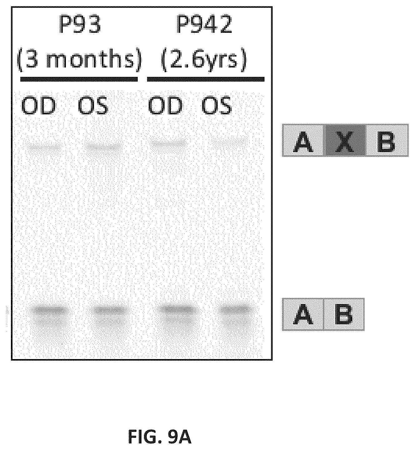 Patent US11814622 Figure 10 – OPA1 antisense oligomers for treatment of conditions and diseases