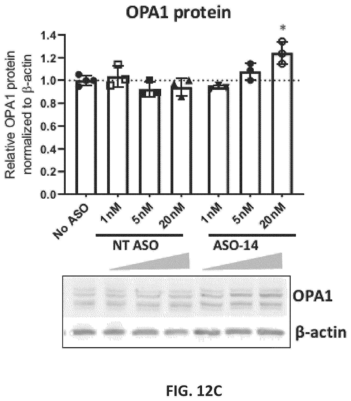 Patent US11814622 Figure 17 – OPA1 antisense oligomers for treatment of conditions and diseases