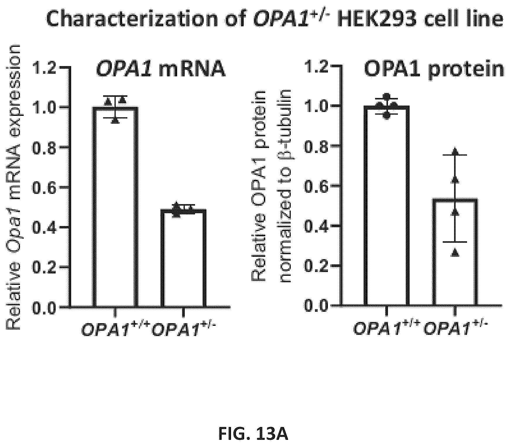Patent US11814622 Figure 18 – OPA1 antisense oligomers for treatment of conditions and diseases