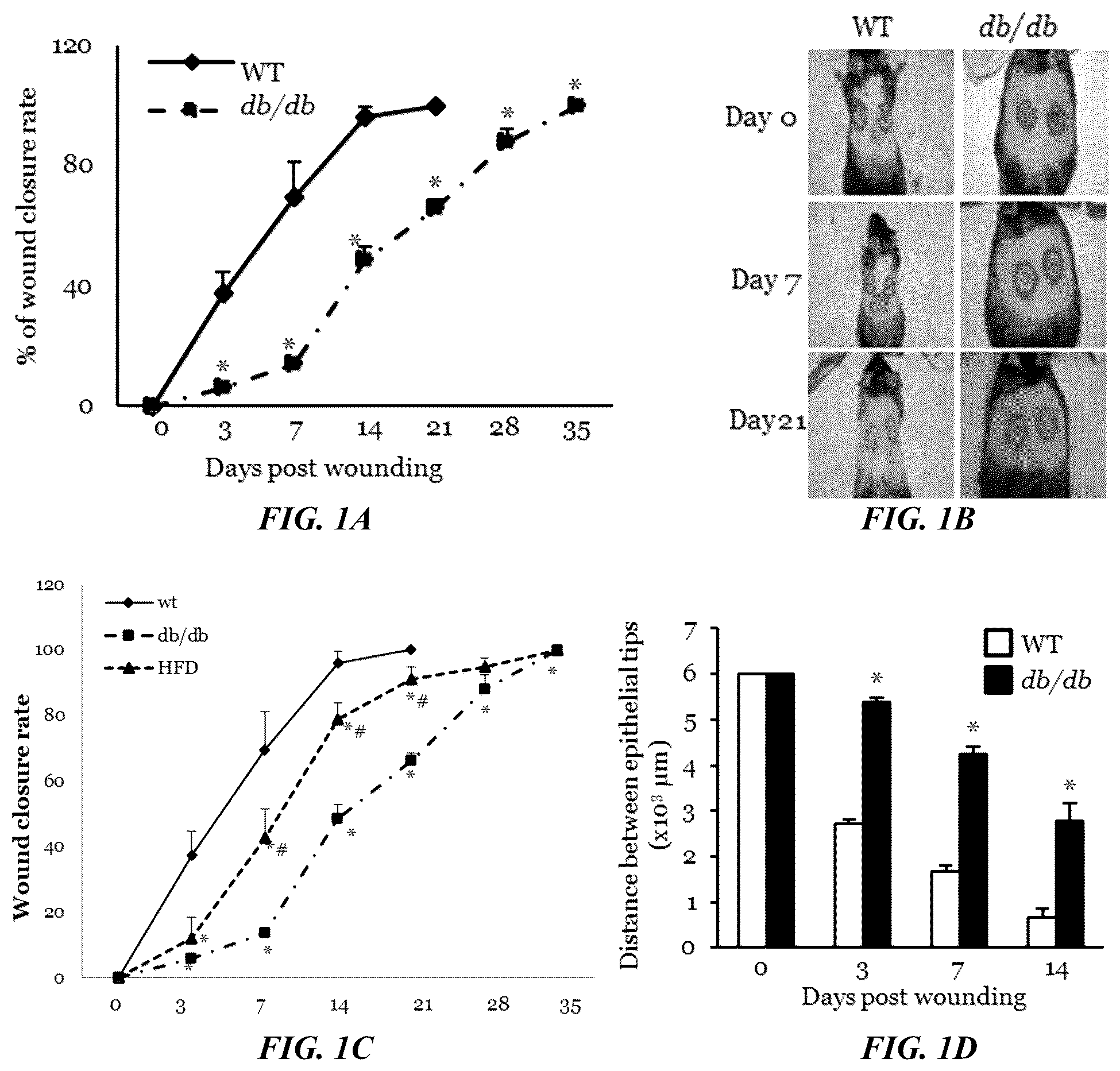 Patent US11814623 Figure 1 – Methods of treating a wound using epigenetic regulation